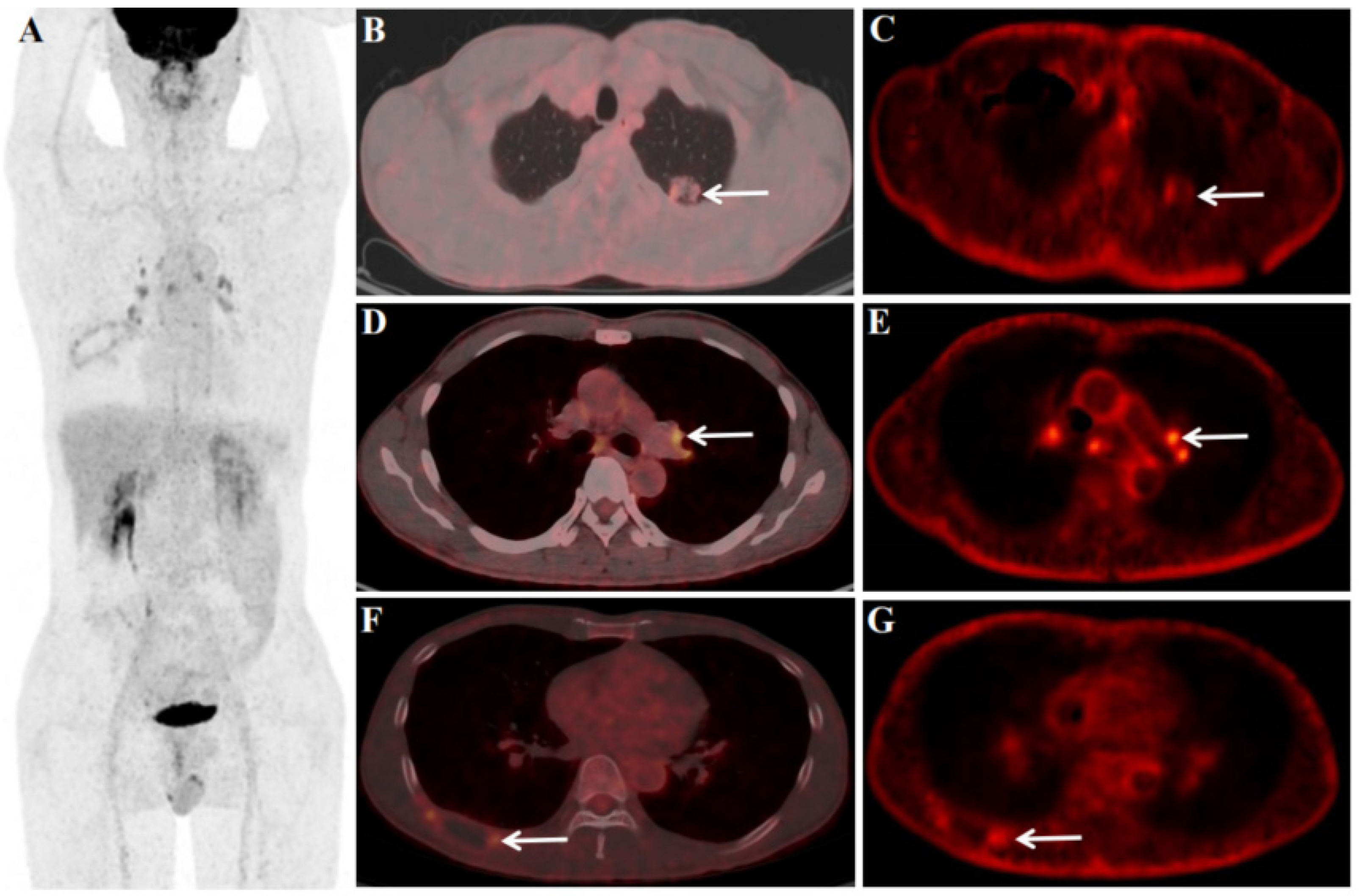 Preprints 73802 g003