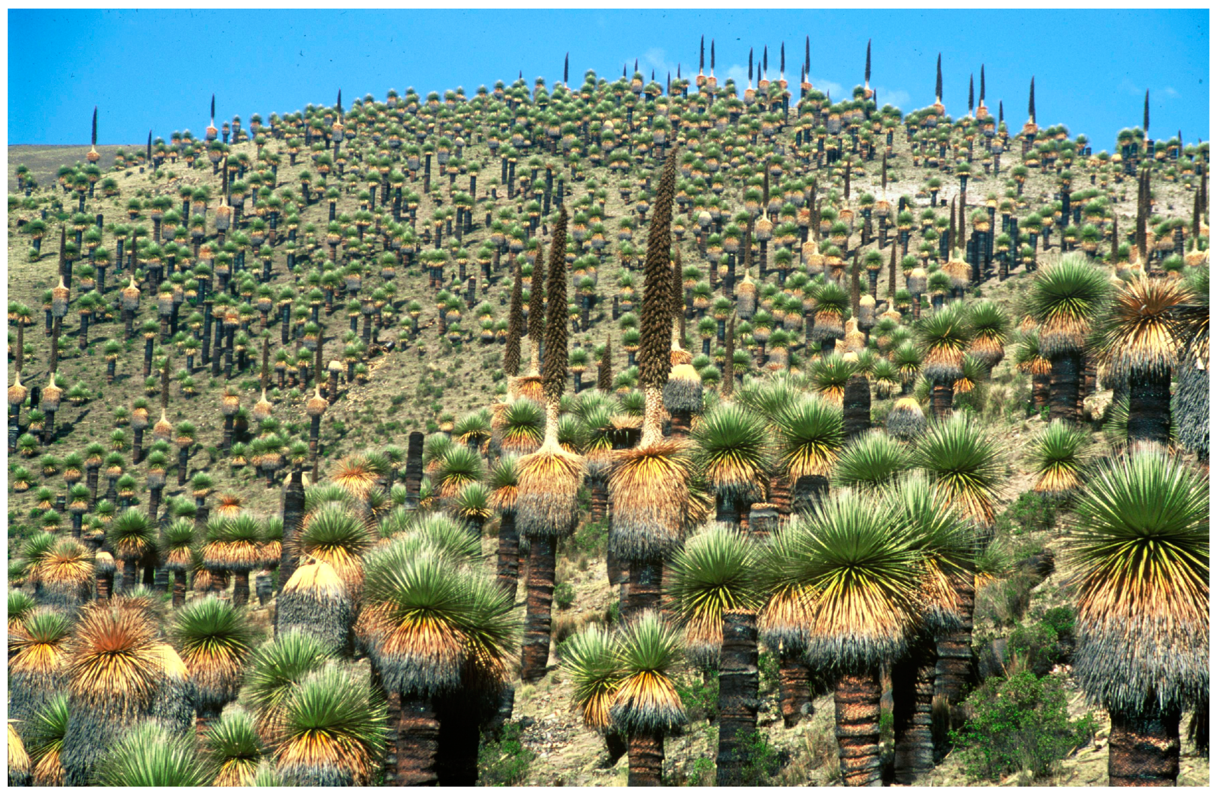 Preprints 140025 g002