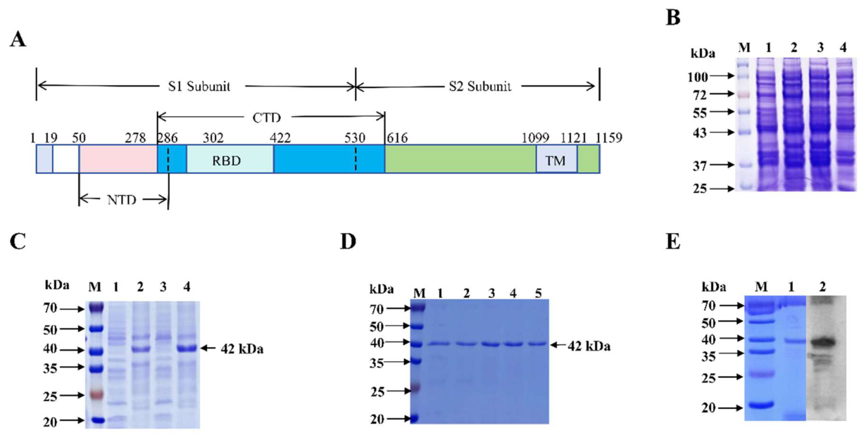 Preprints 234712 g001 Preprints 234712 g001