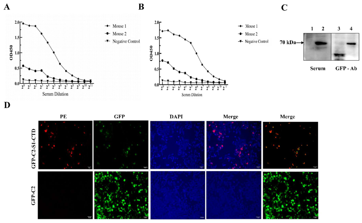 Preprints 234712 g002 Preprints 234712 g002