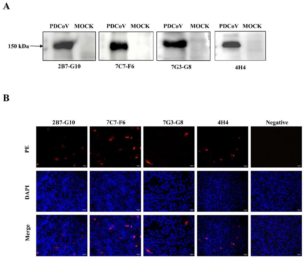 Preprints 234712 g003 Preprints 234712 g003