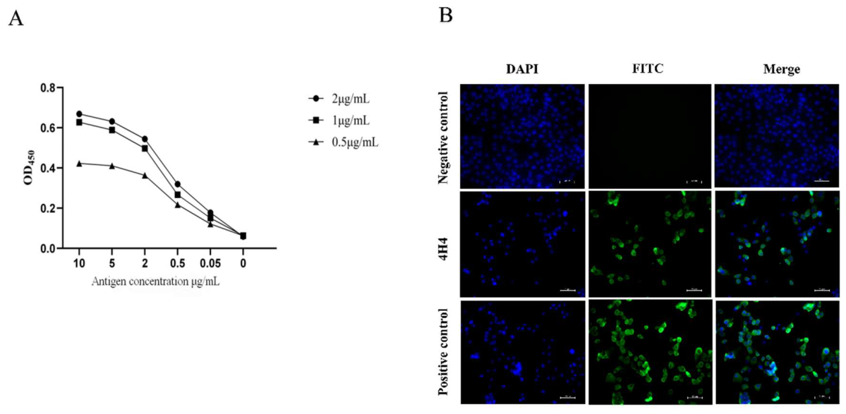 Preprints 234712 g005 Preprints 234712 g005