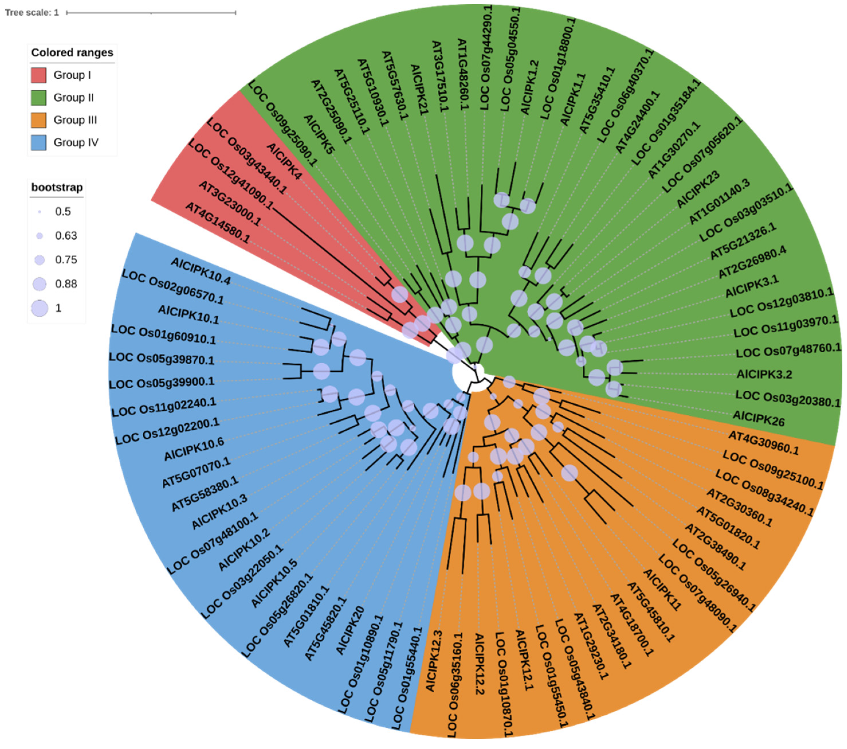 Preprints 69003 g002