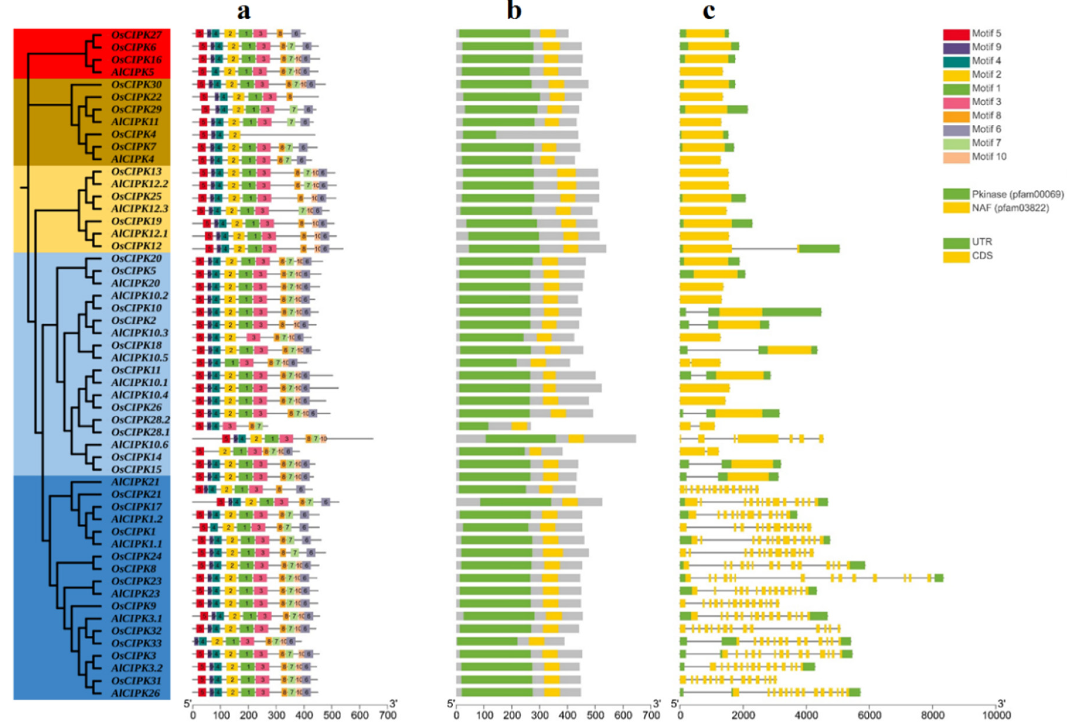 Preprints 69003 g004