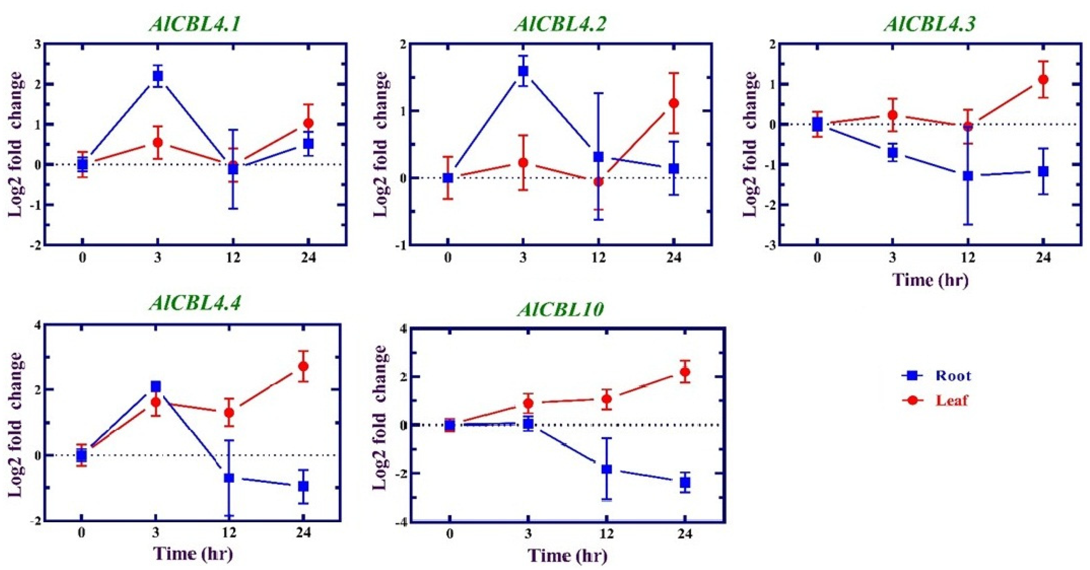 Preprints 69003 g006