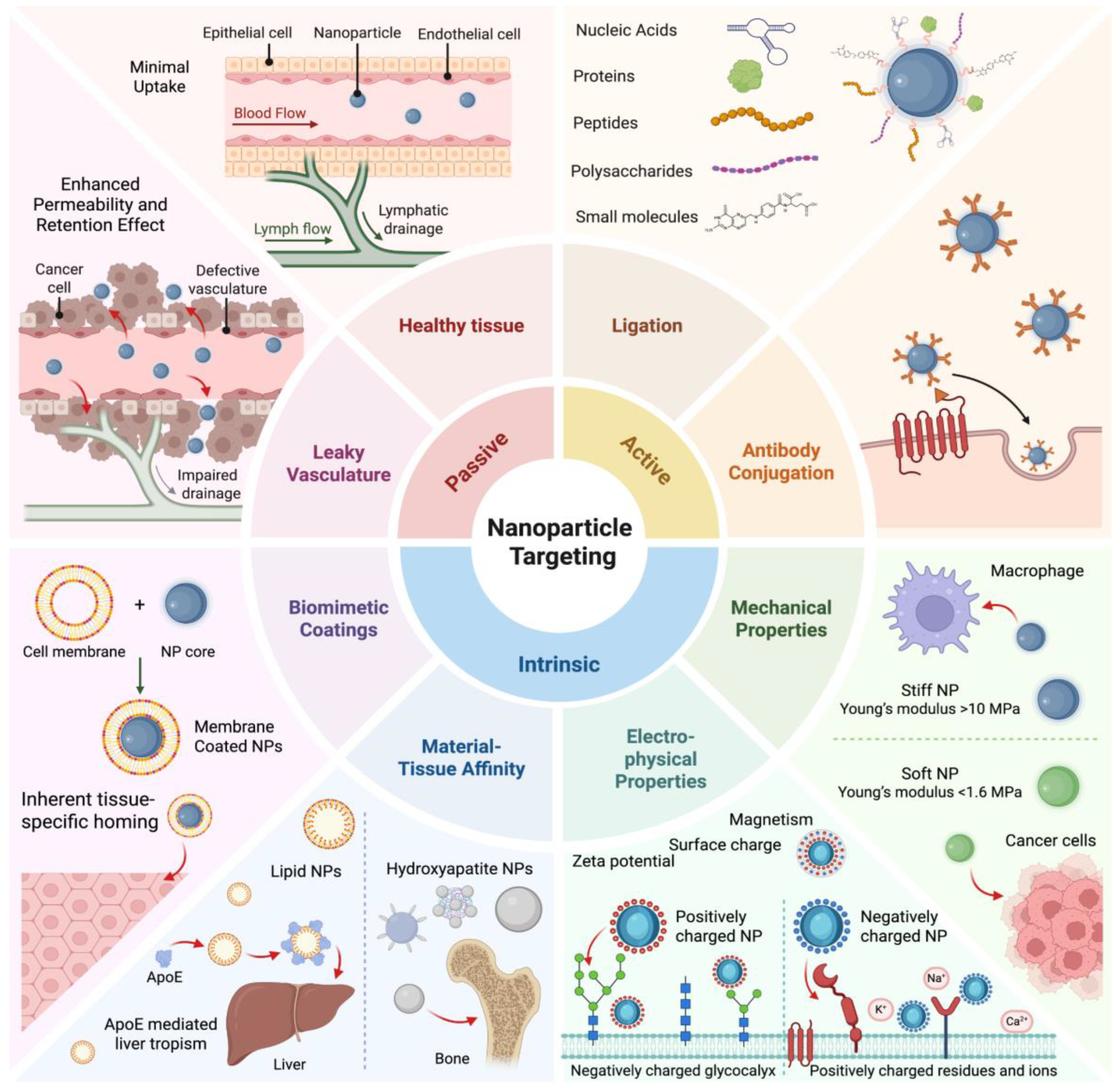 Preprints 204014 g001