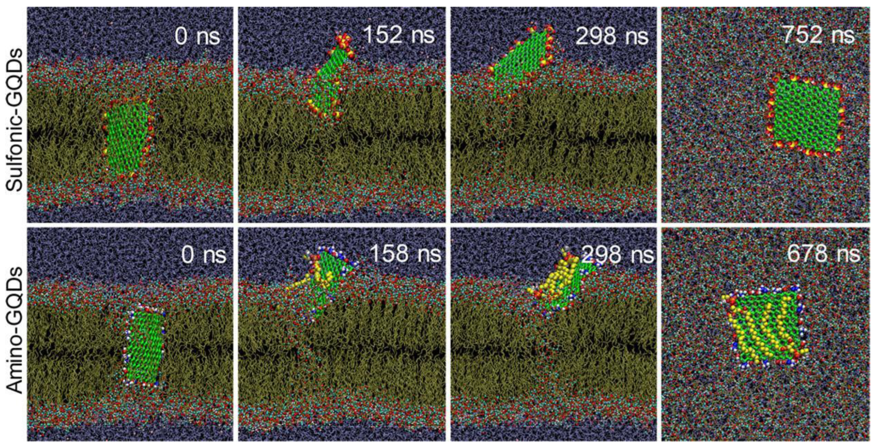 Preprints 204014 g002
