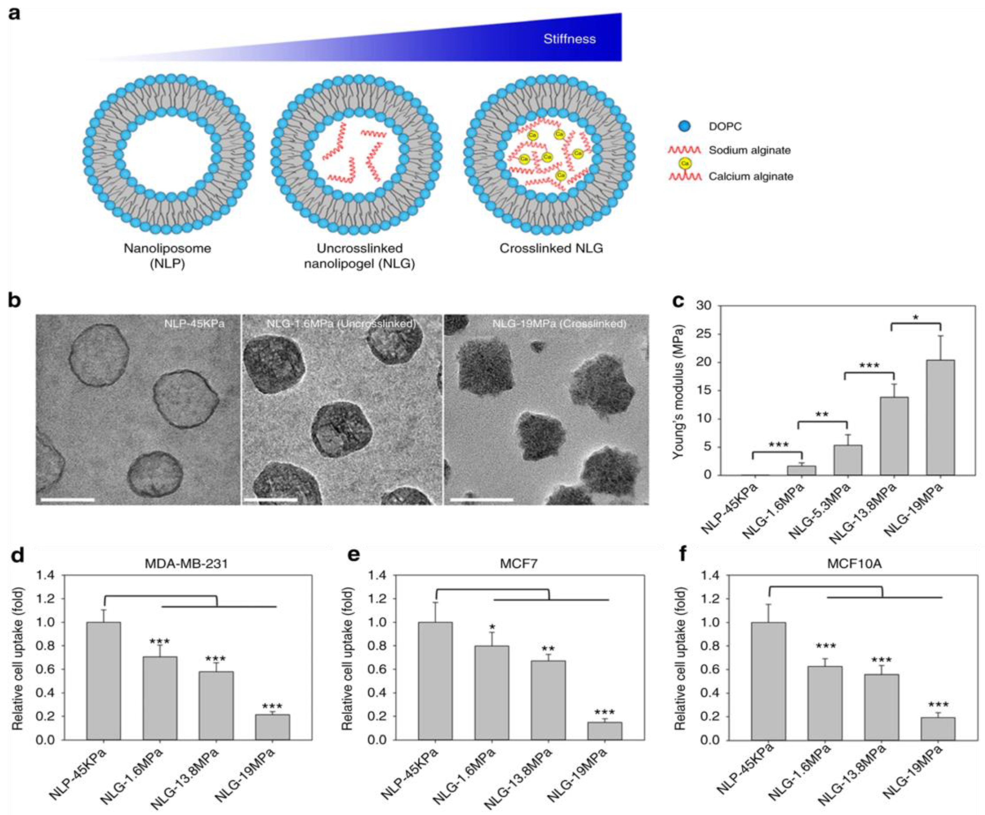 Preprints 204014 g006
