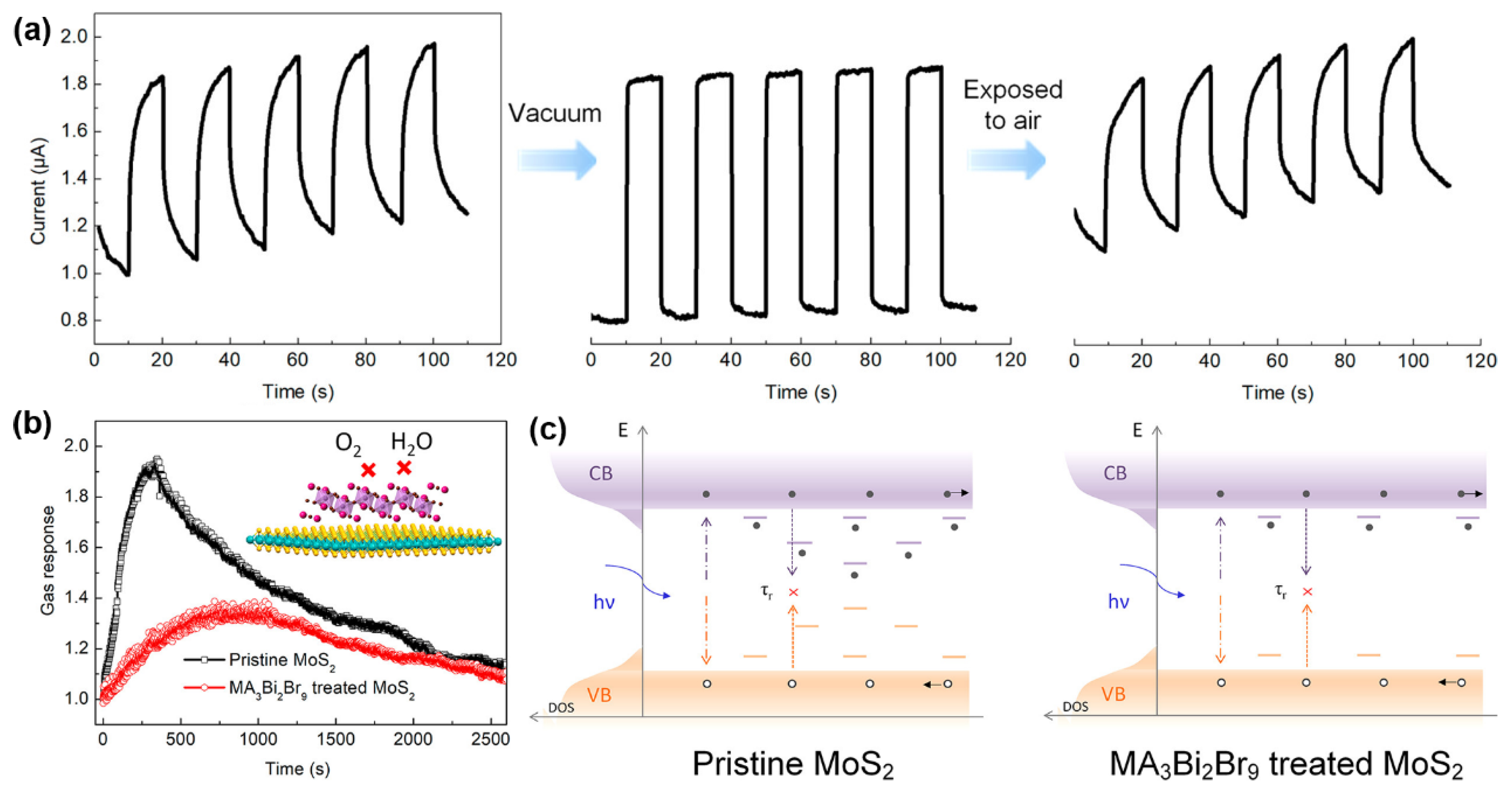 Preprints 139909 g004