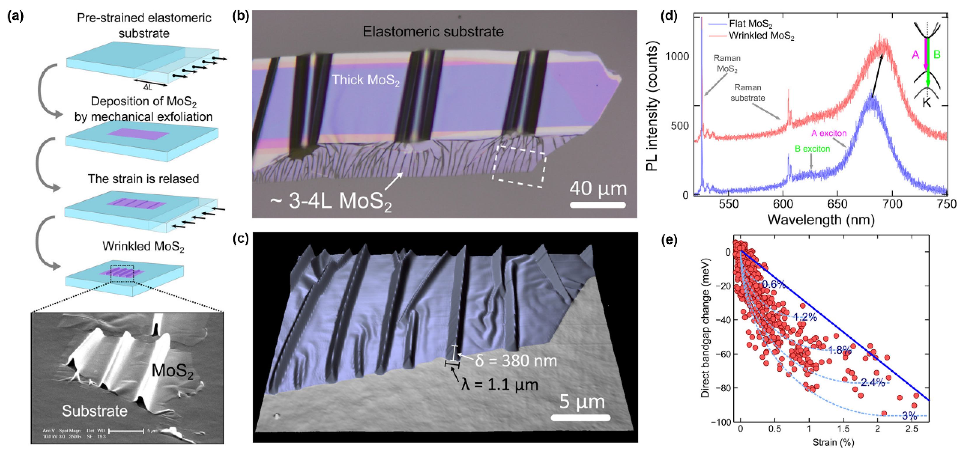 Preprints 139909 g006