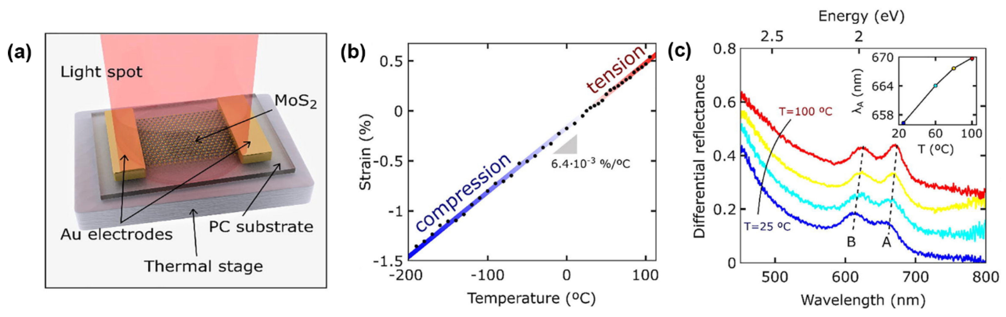 Preprints 139909 g008