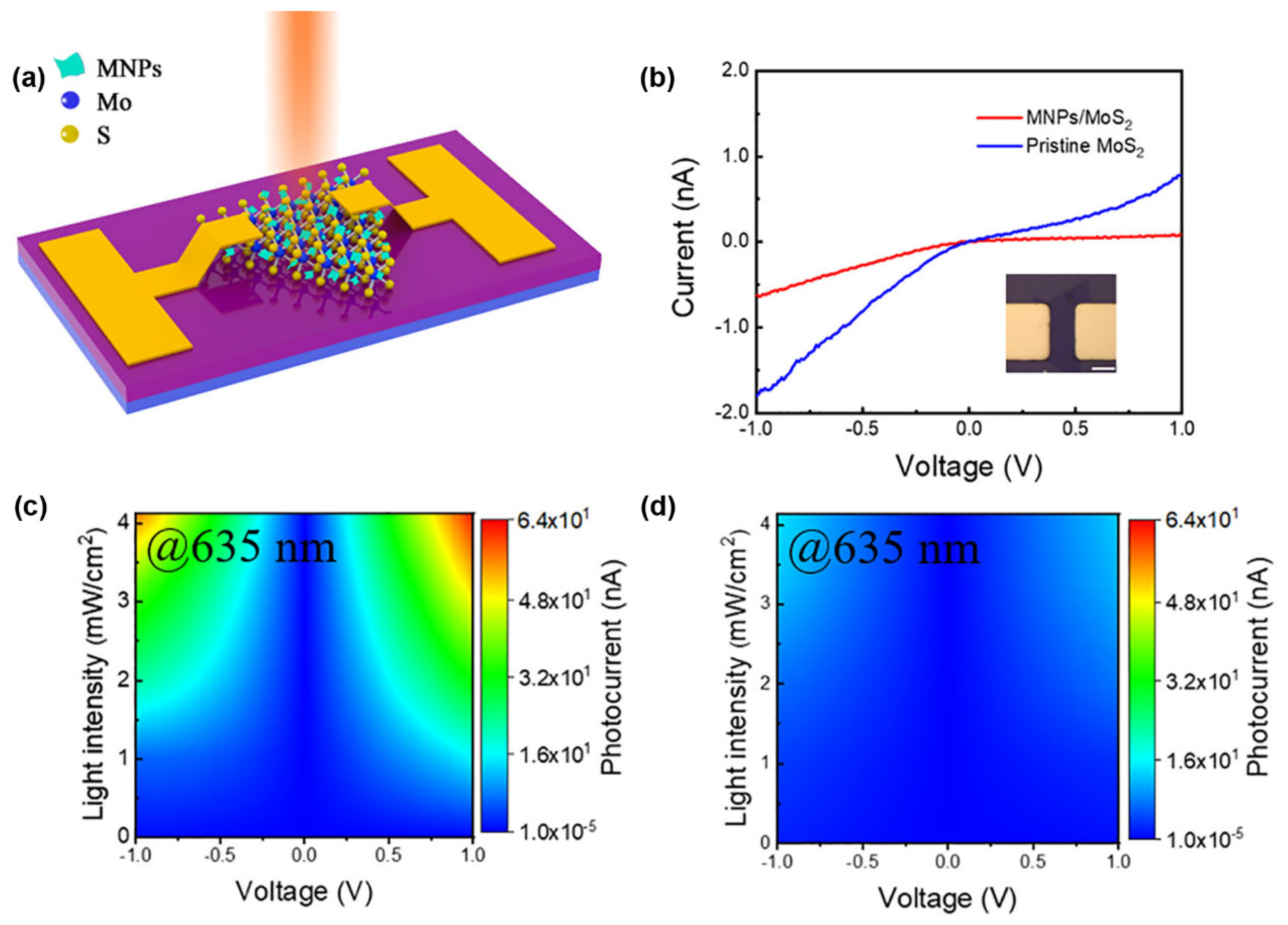 Preprints 139909 g011