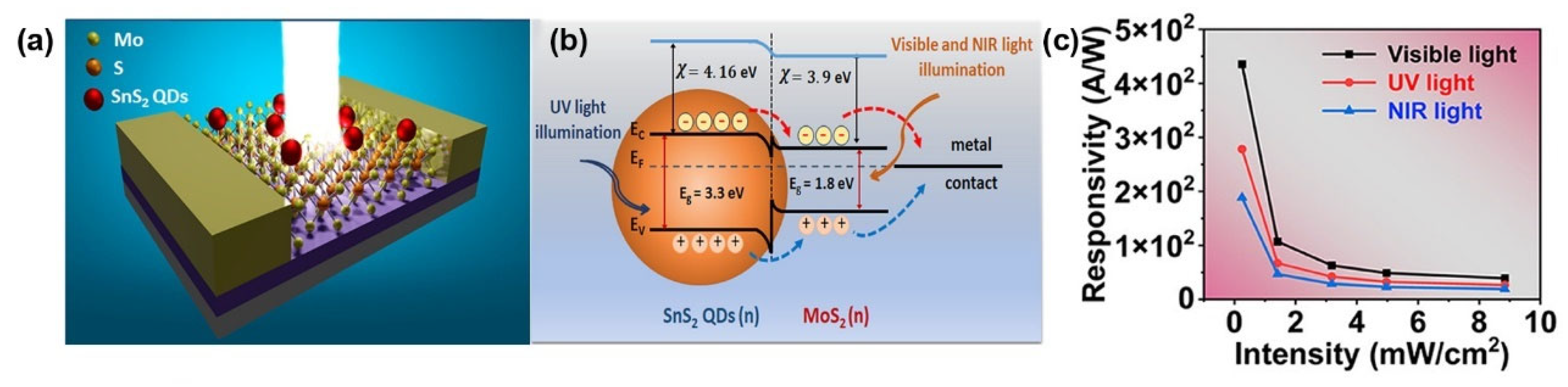 Preprints 139909 g012