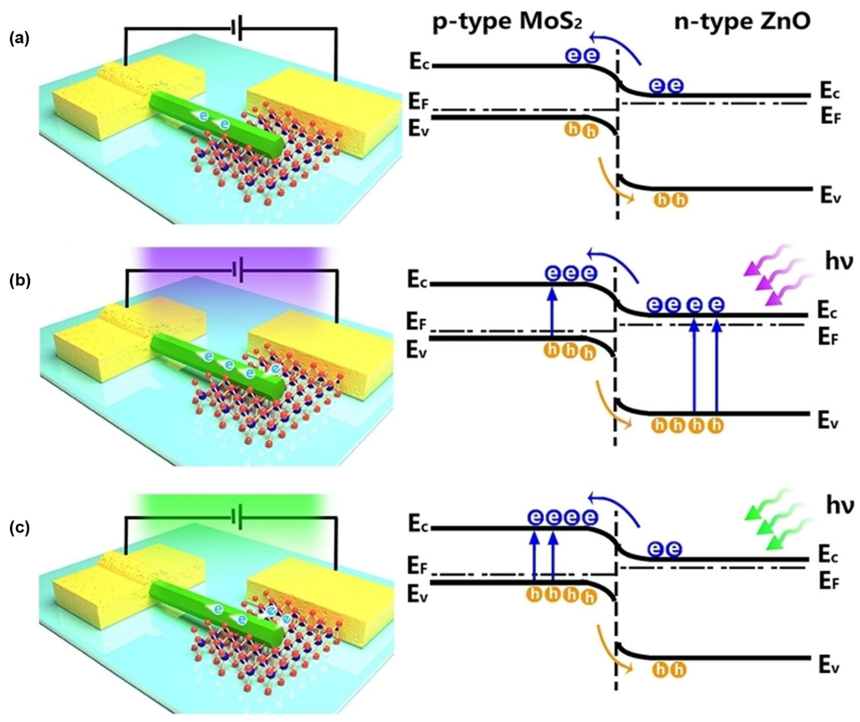 Preprints 139909 g013