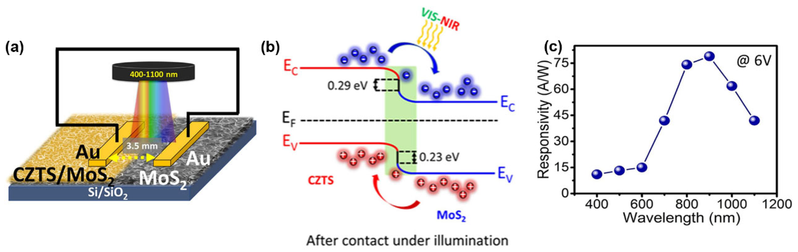 Preprints 139909 g017
