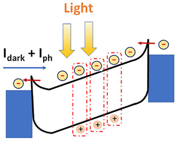 Preprints 139909 i001