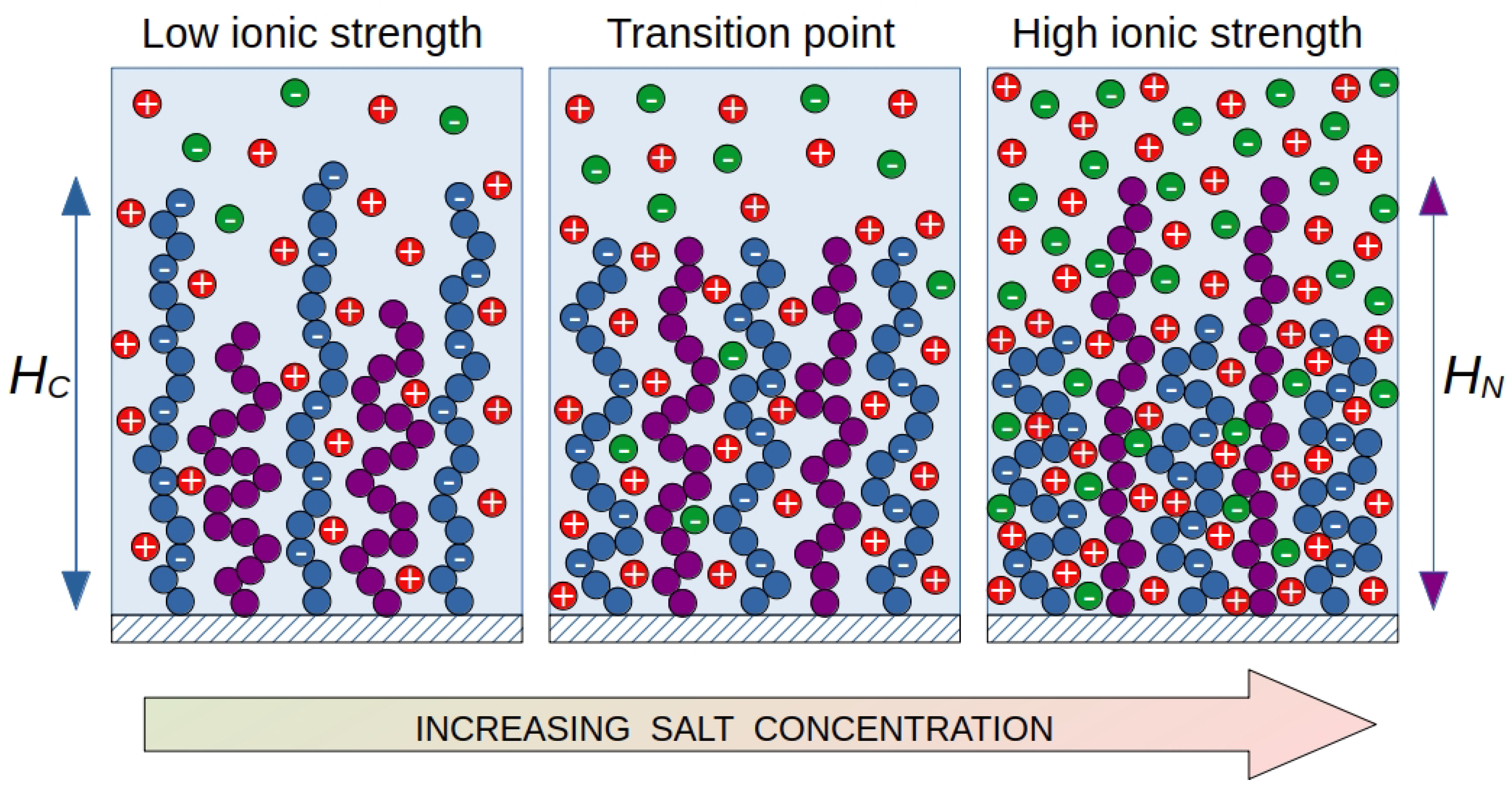 Preprints 137386 g001
