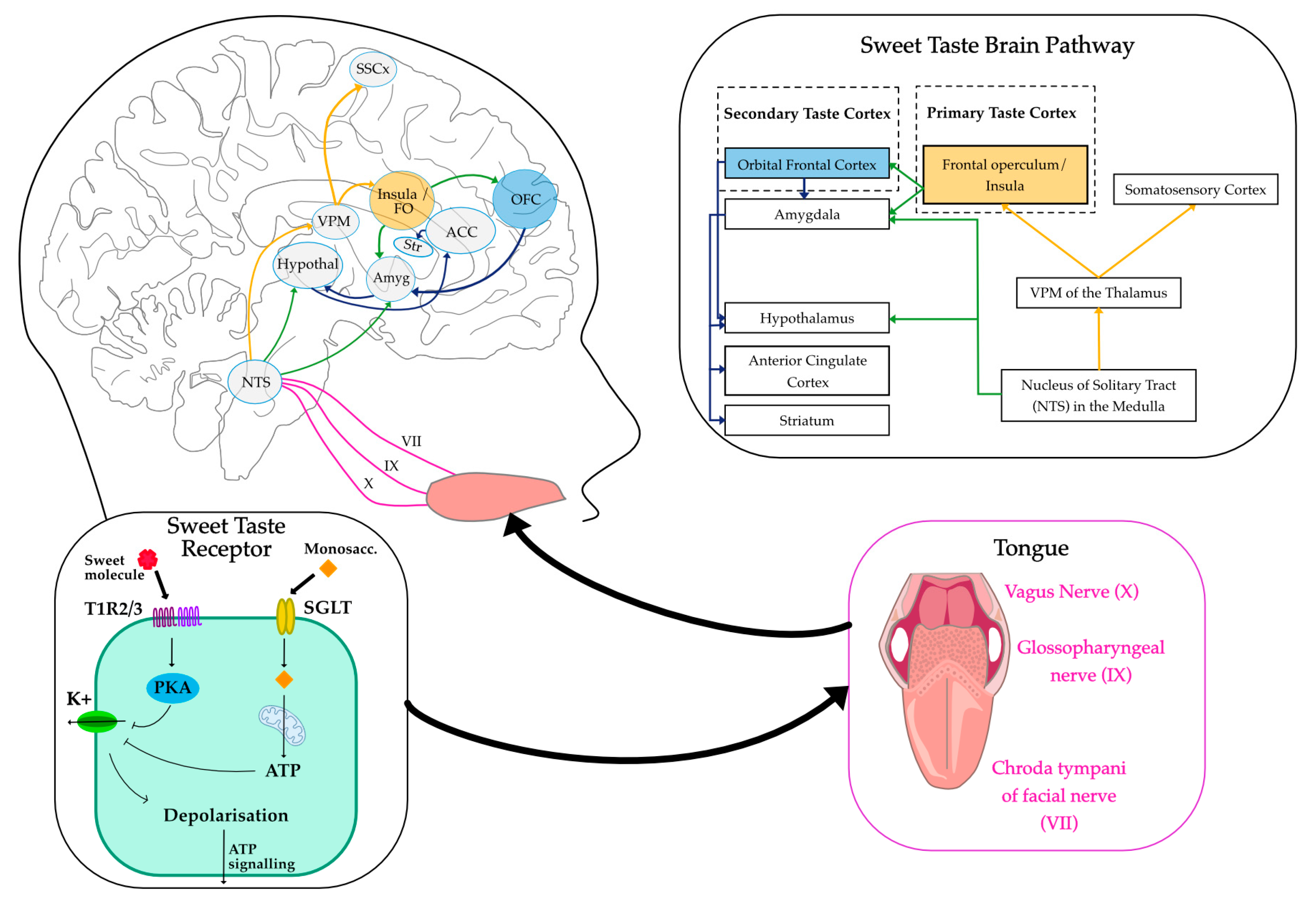 Preprints 162096 g001