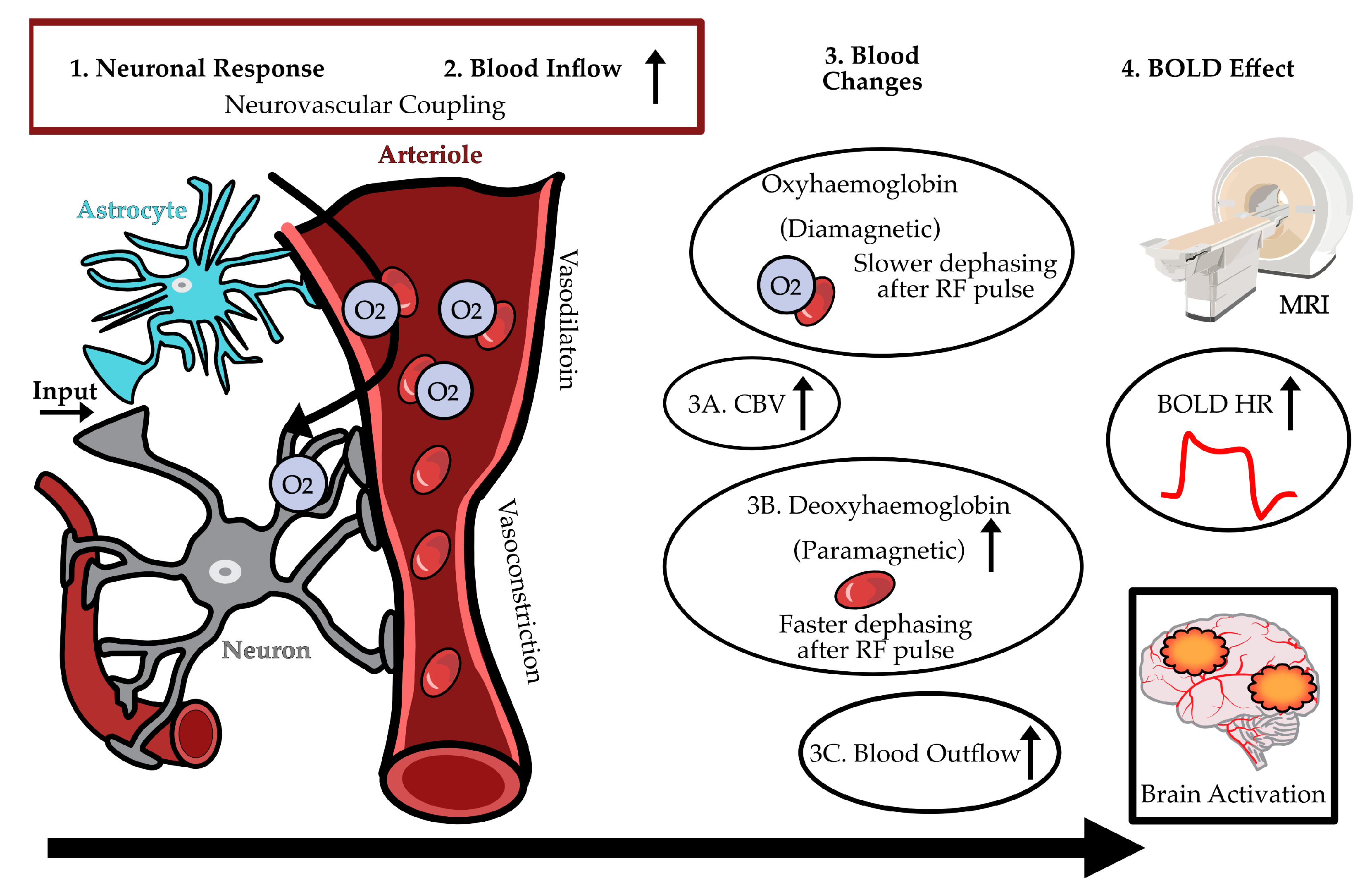 Preprints 162096 g002