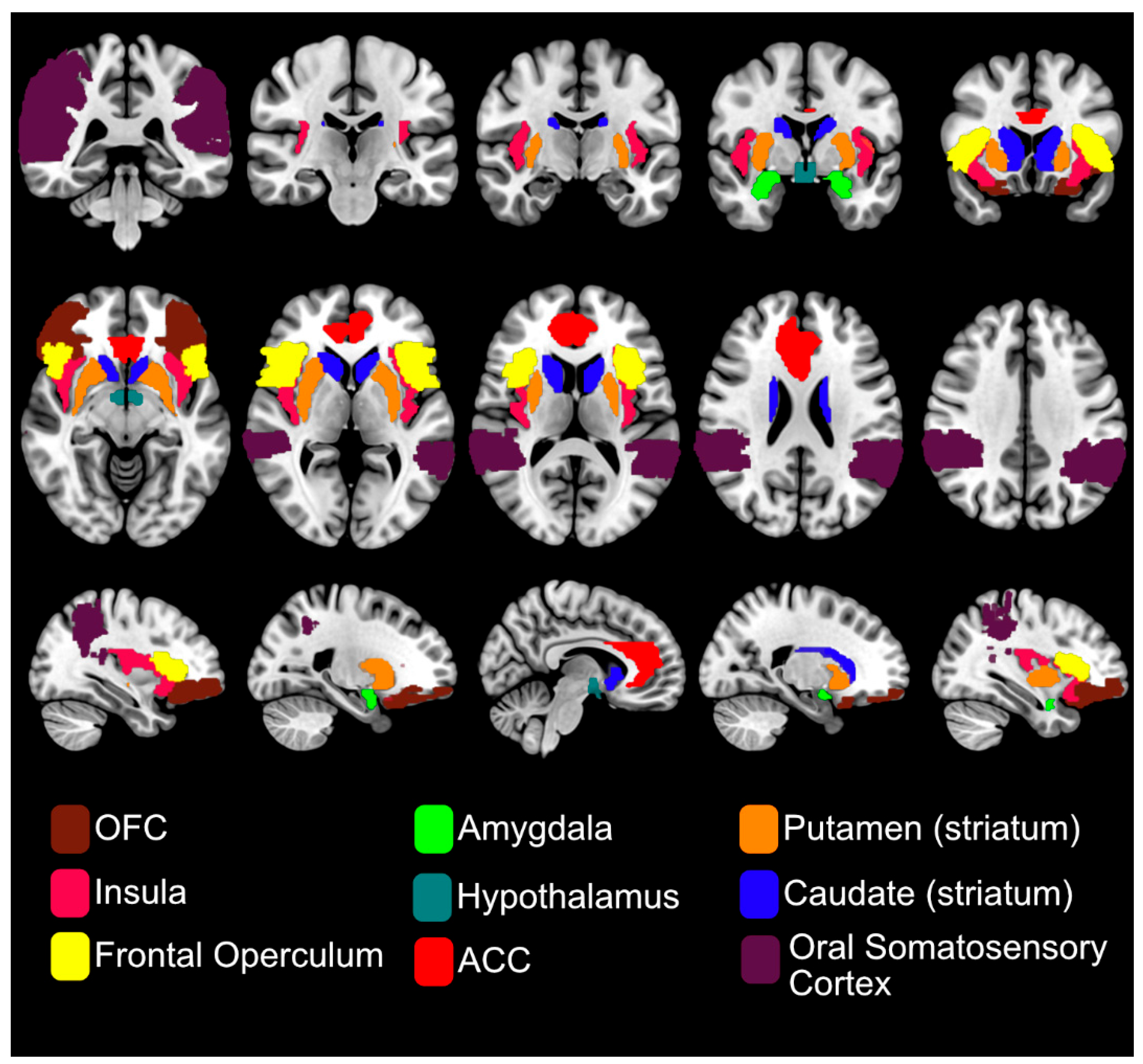 Preprints 162096 g003