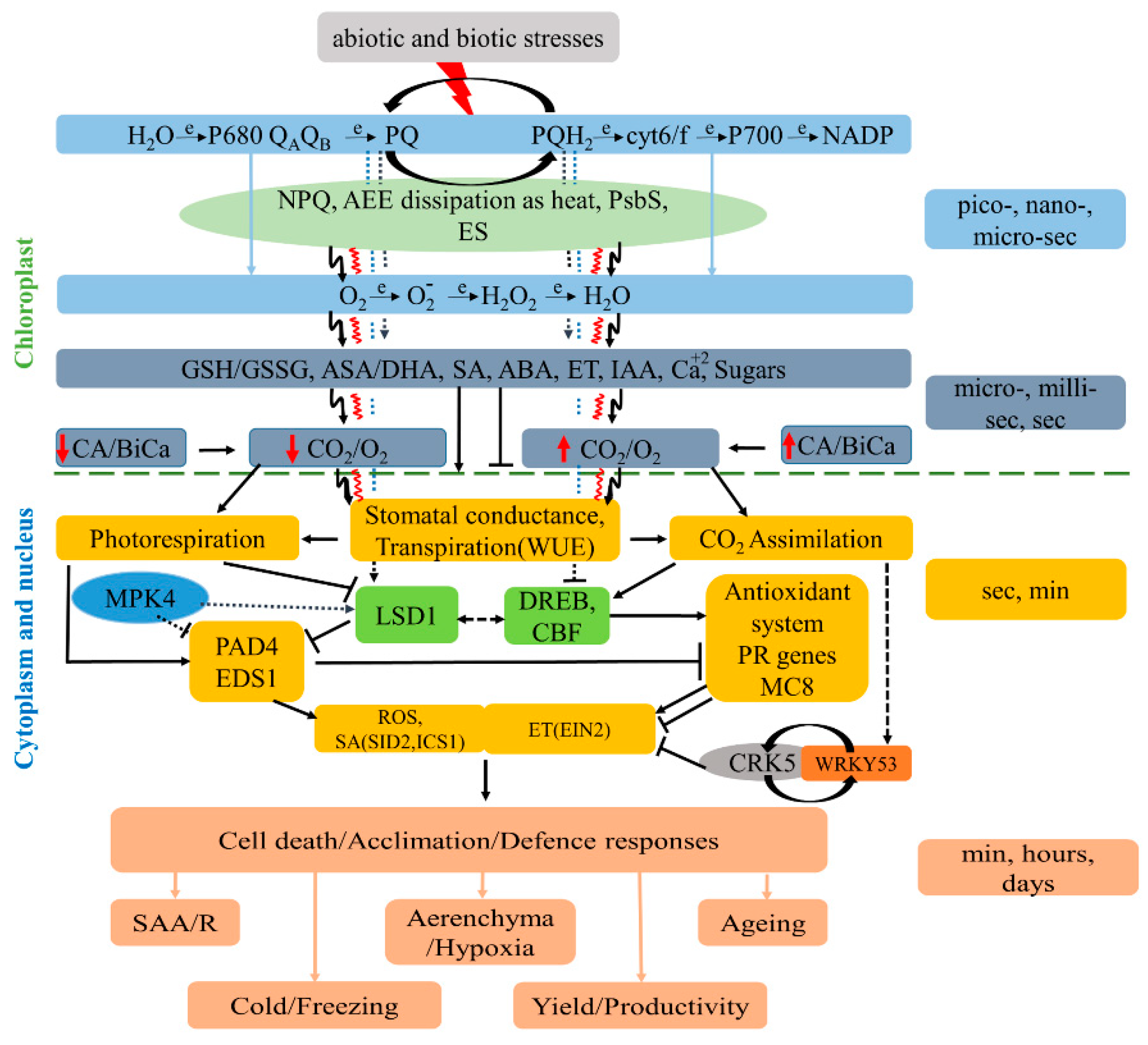 Preprints 141216 g001