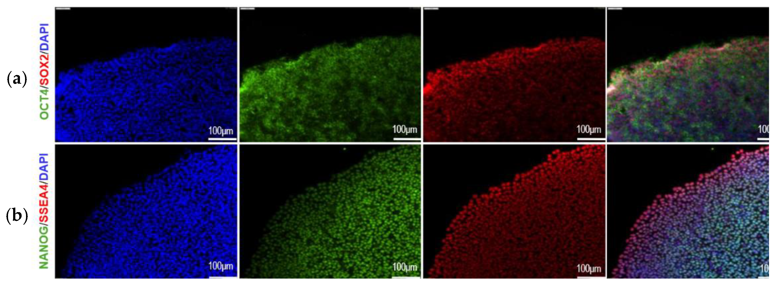 Preprints 173585 g006