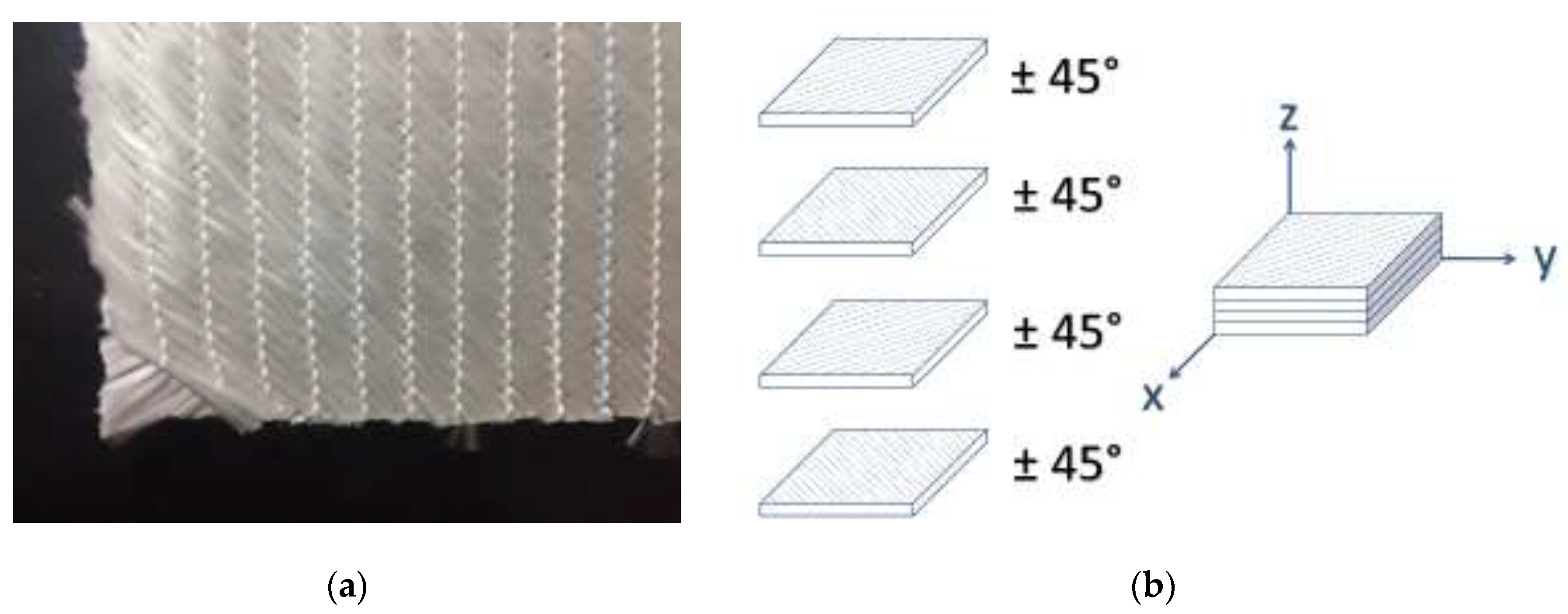 Preprints 121297 g001