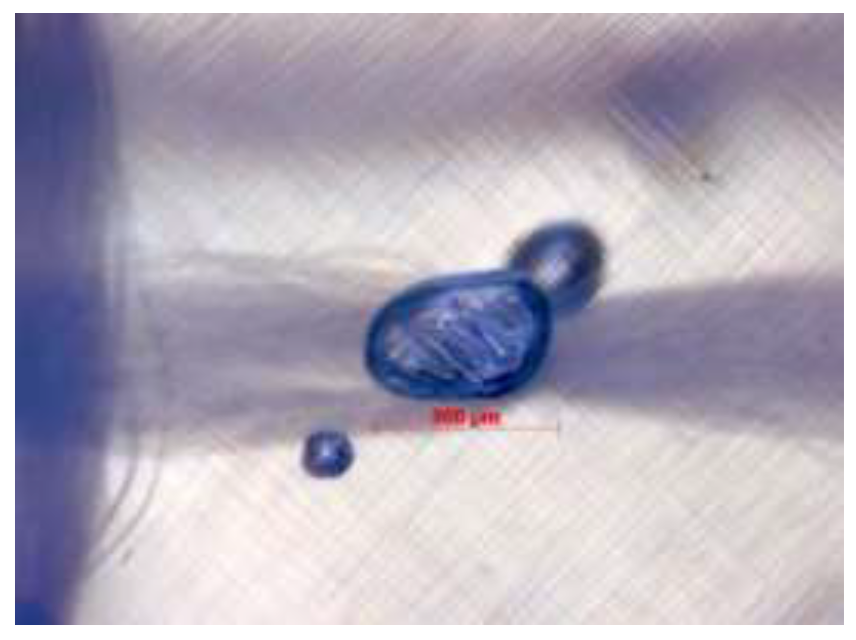 Preprints 121297 g003