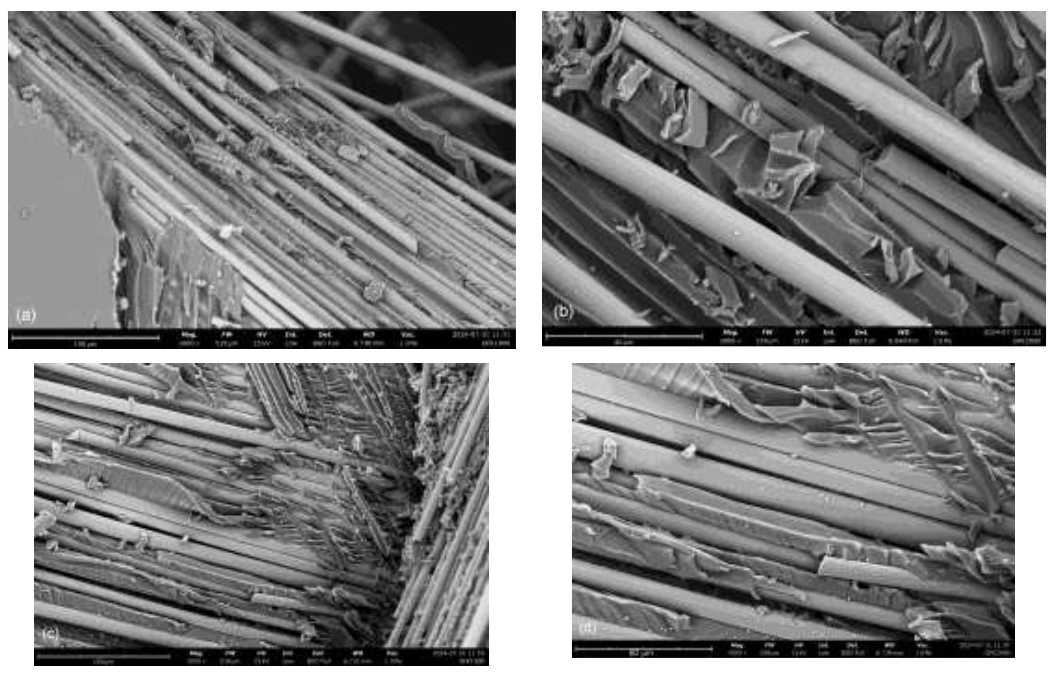 Preprints 121297 g008