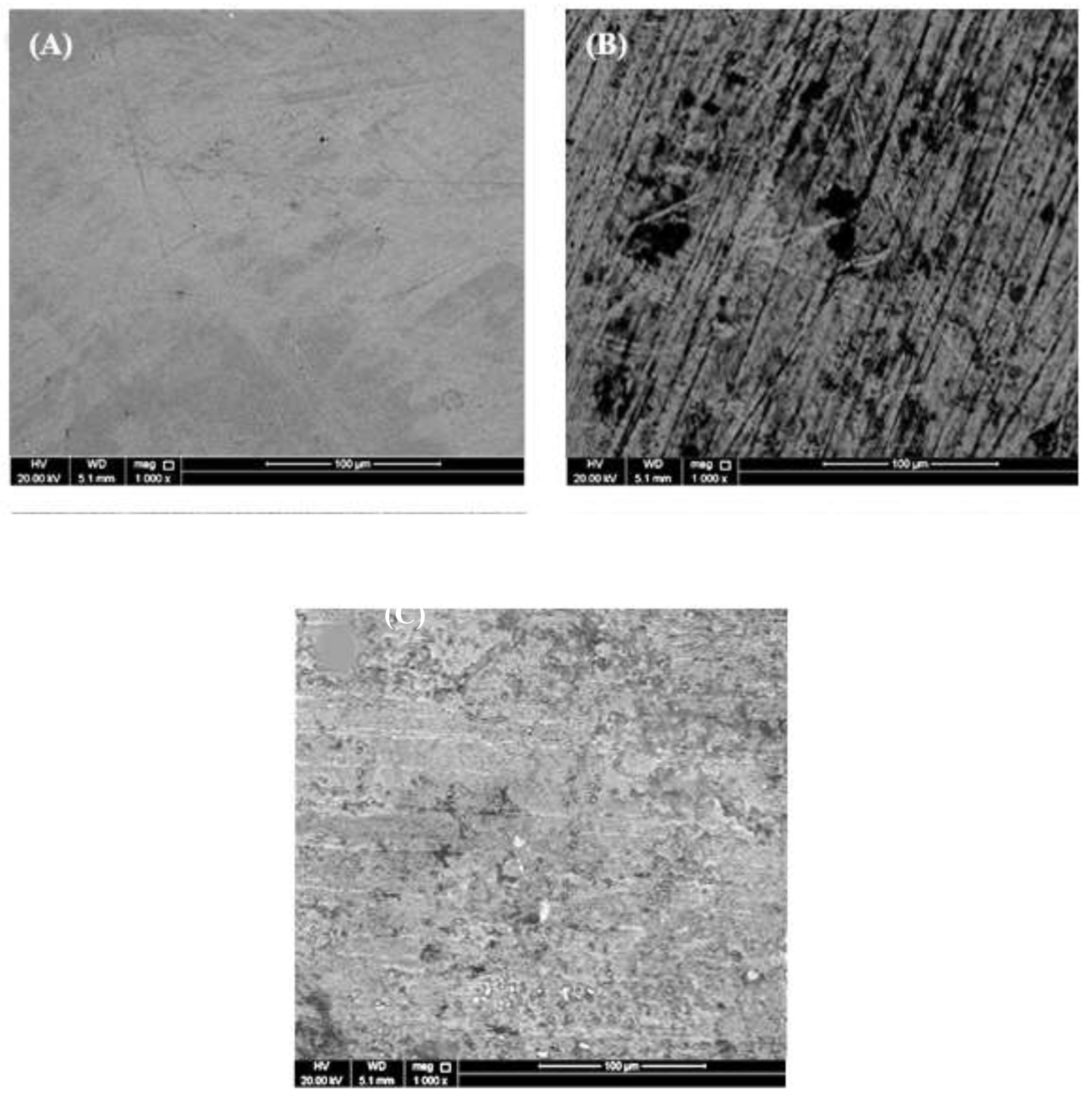 Preprints 200333 g010
