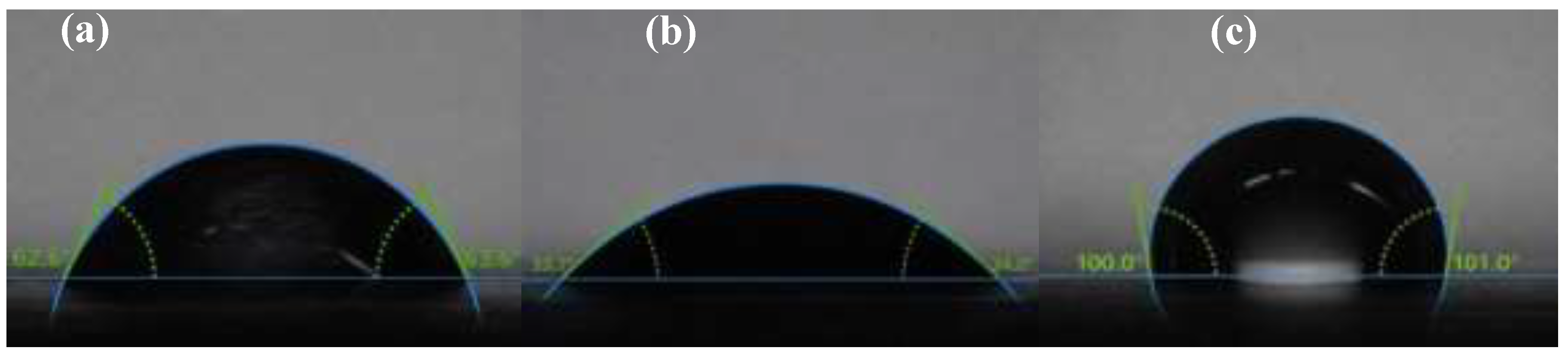 Preprints 200333 g014