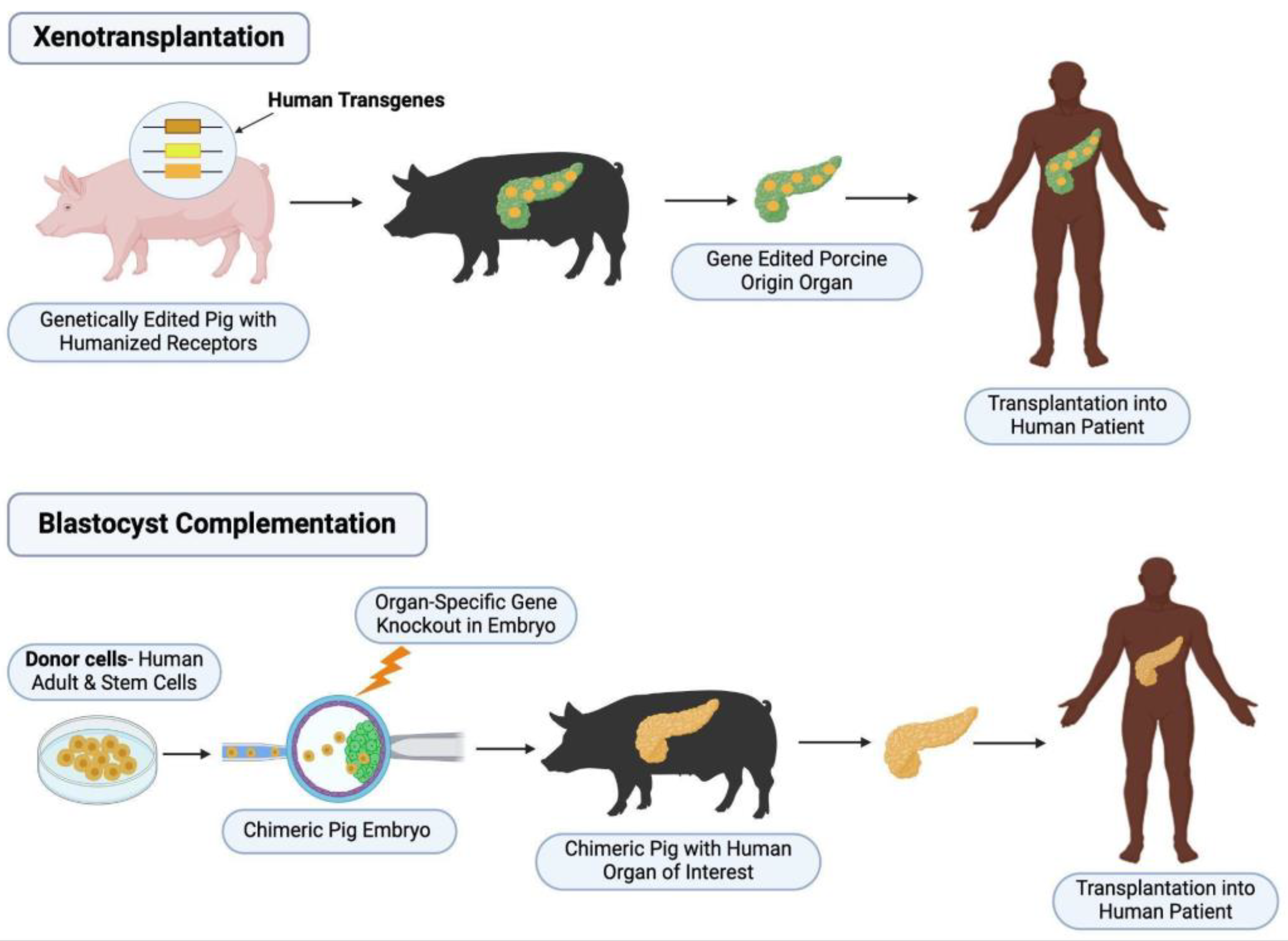 Preprints 145613 g001