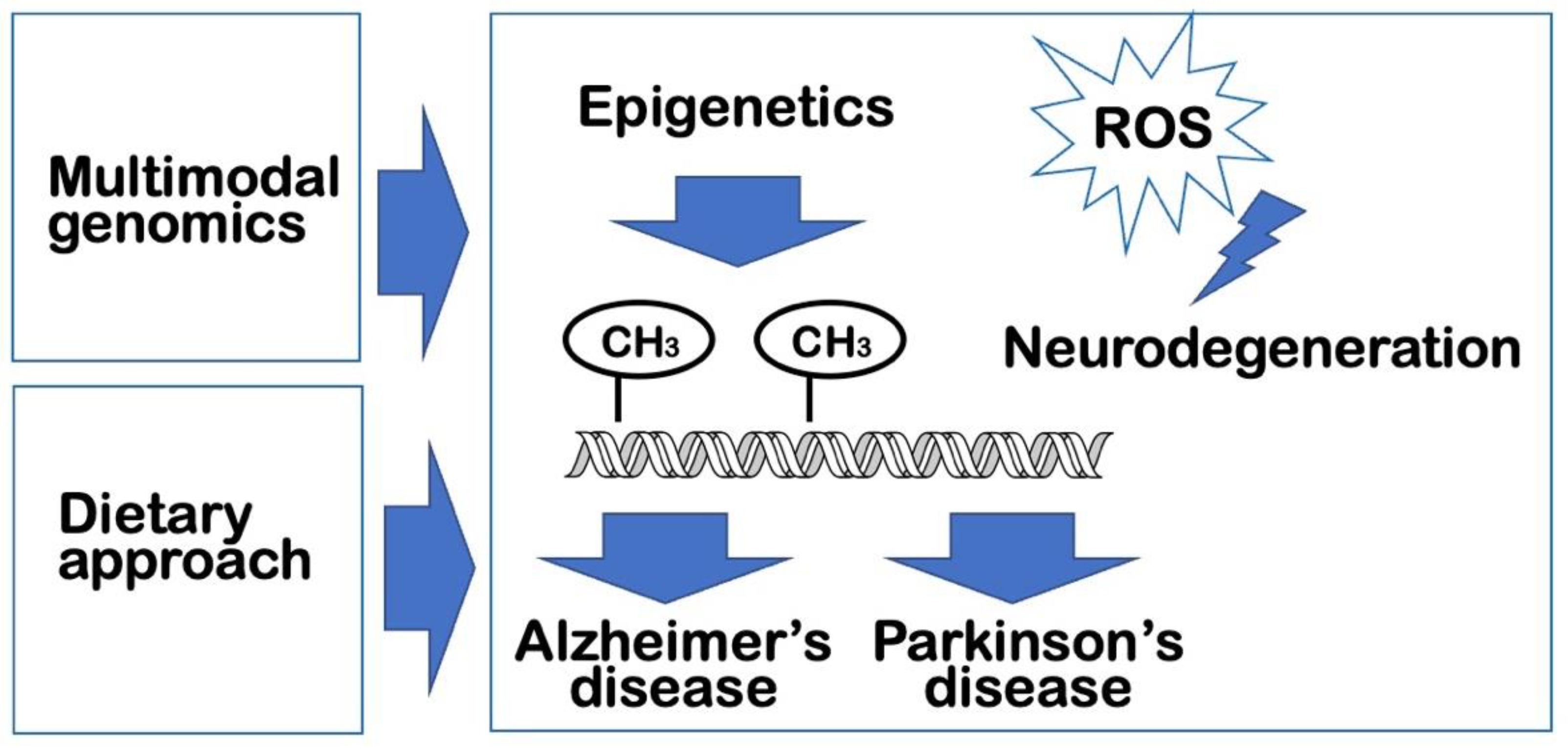 Preprints 80697 g001