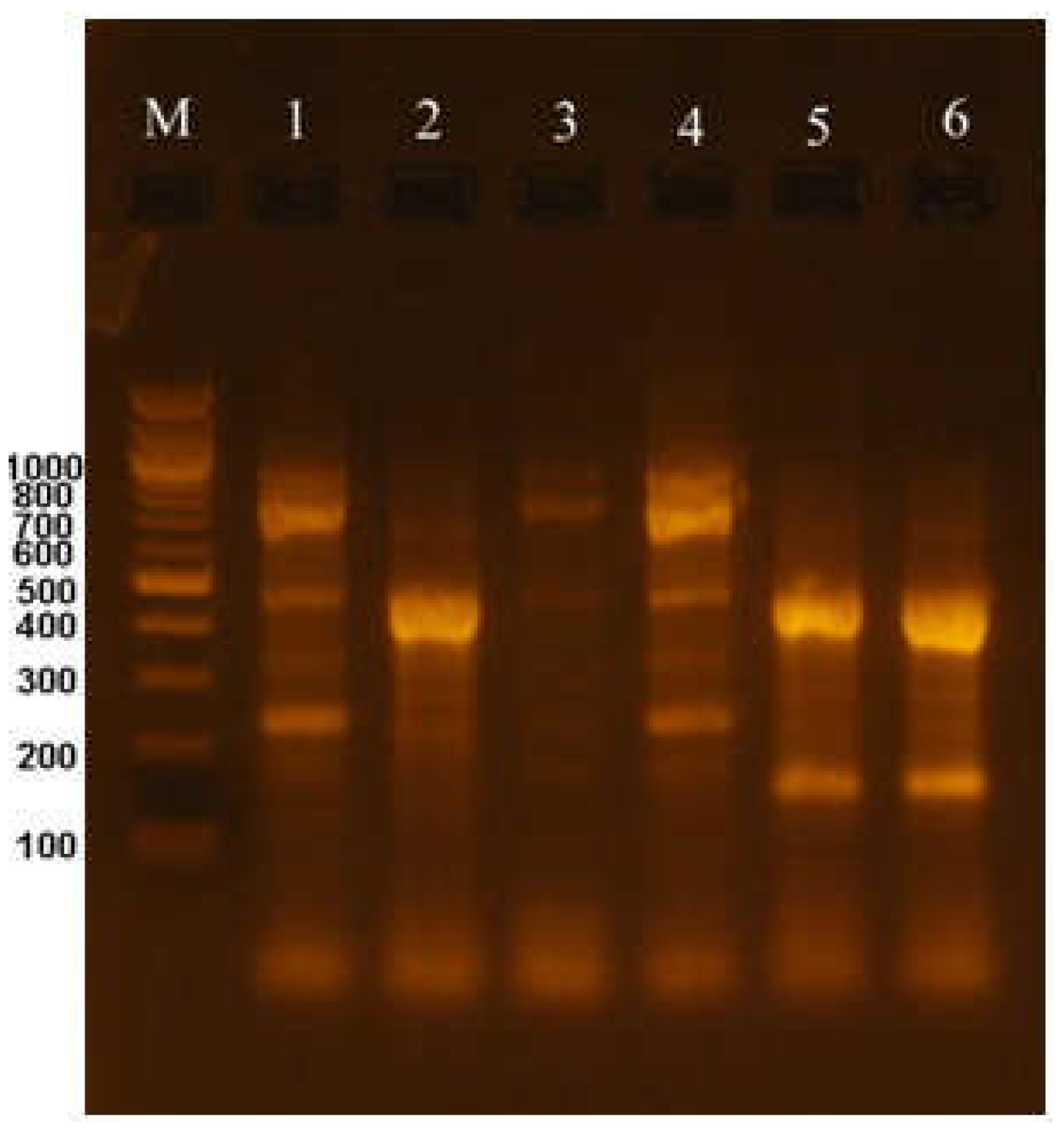 Preprints 179980 g001