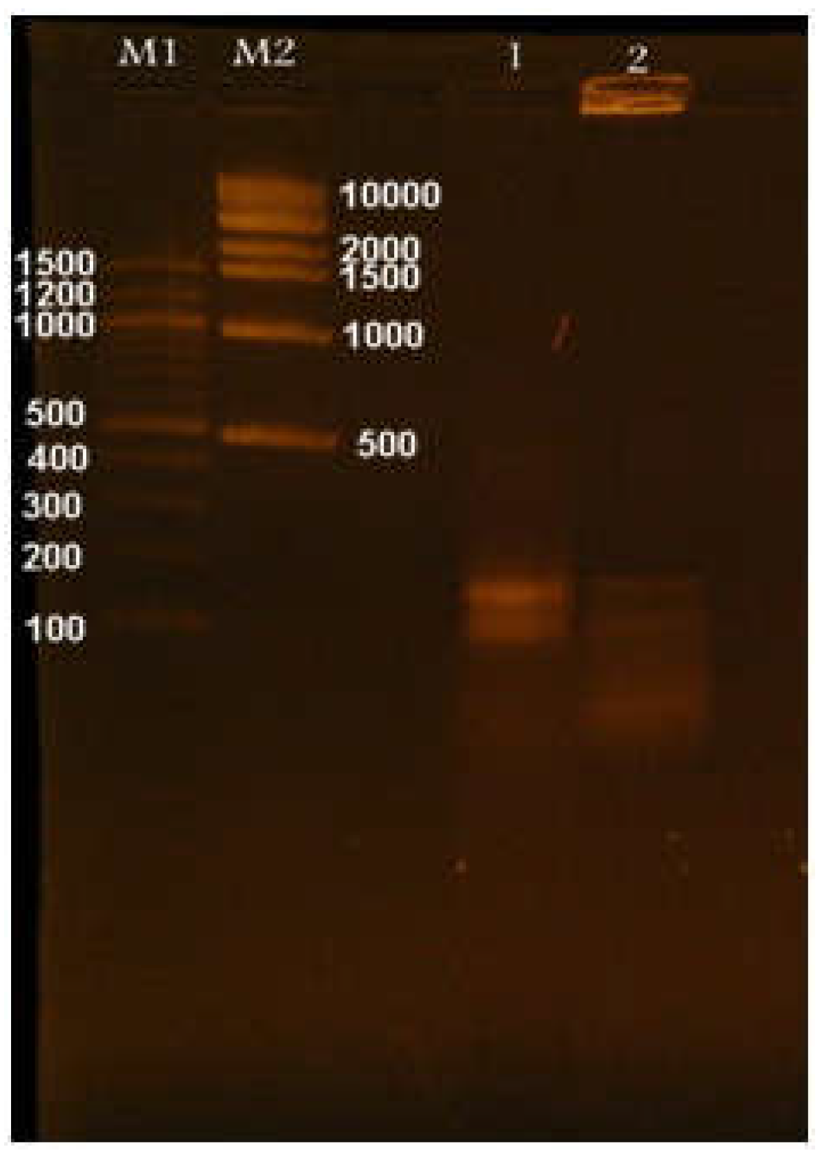 Preprints 179980 g002