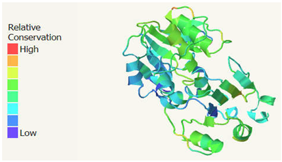 Preprints 179980 i007