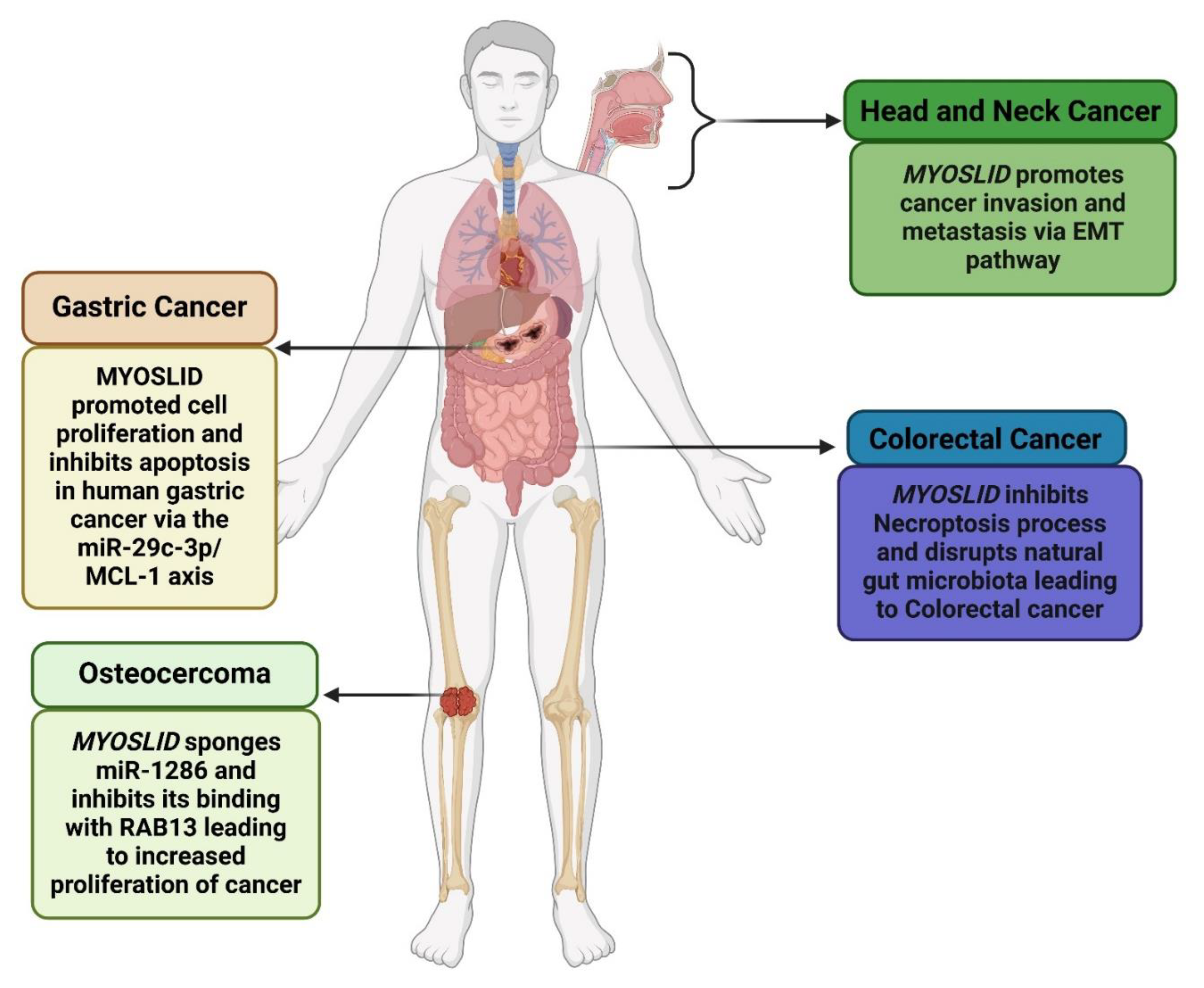 Preprints 148697 g001