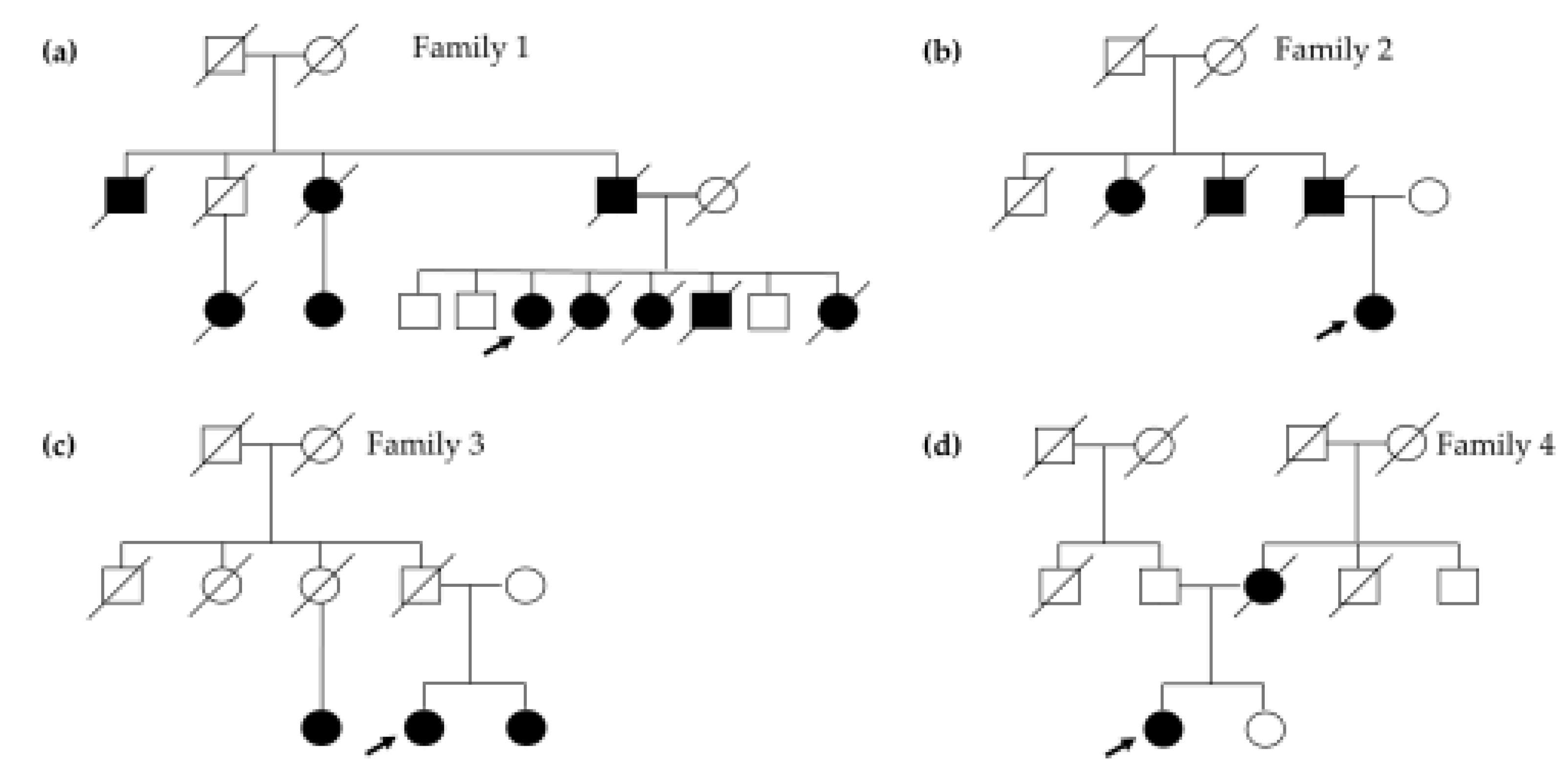 Preprints 121443 g001