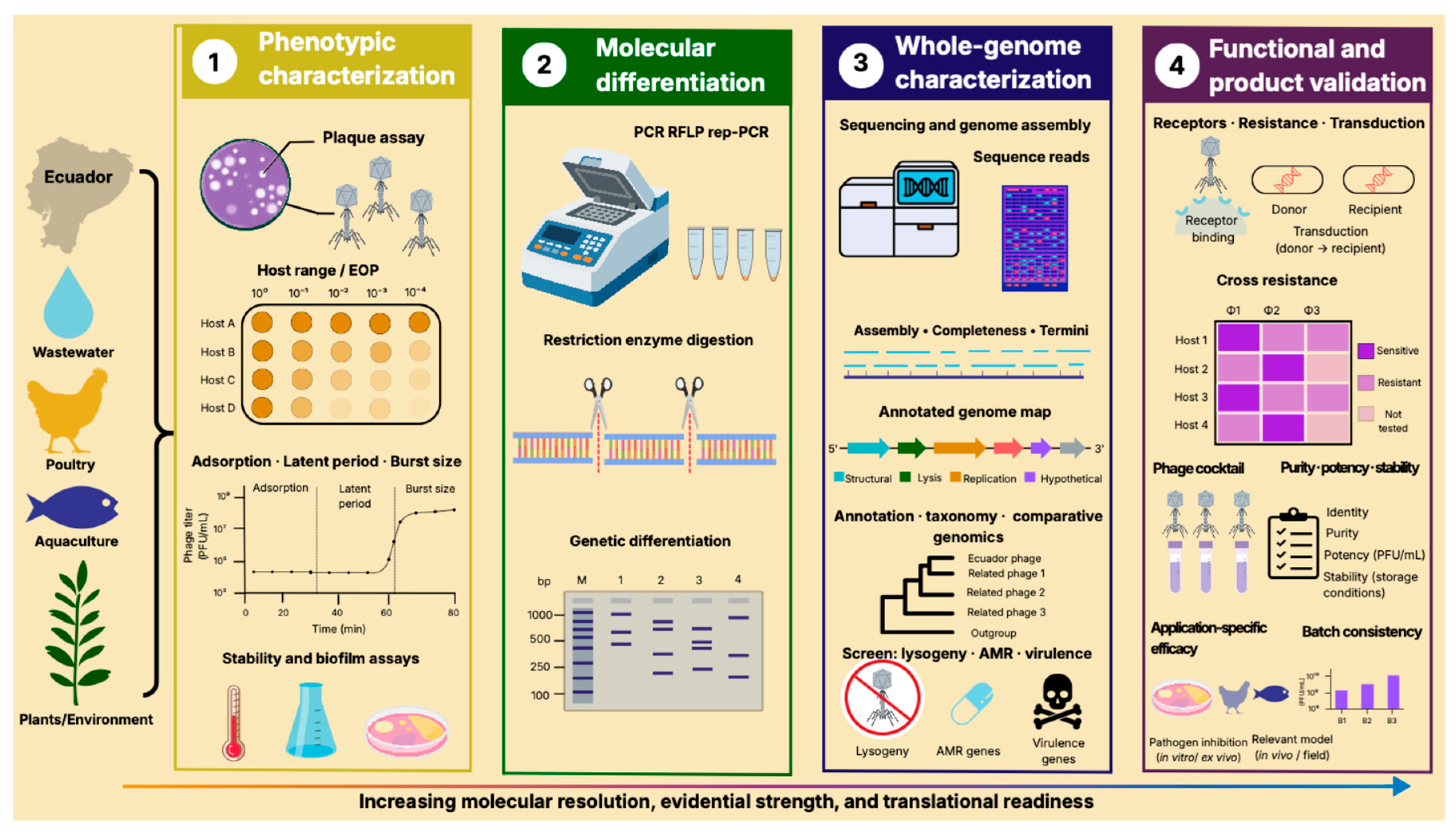 Preprints 238366 g008 Preprints 238366 g008
