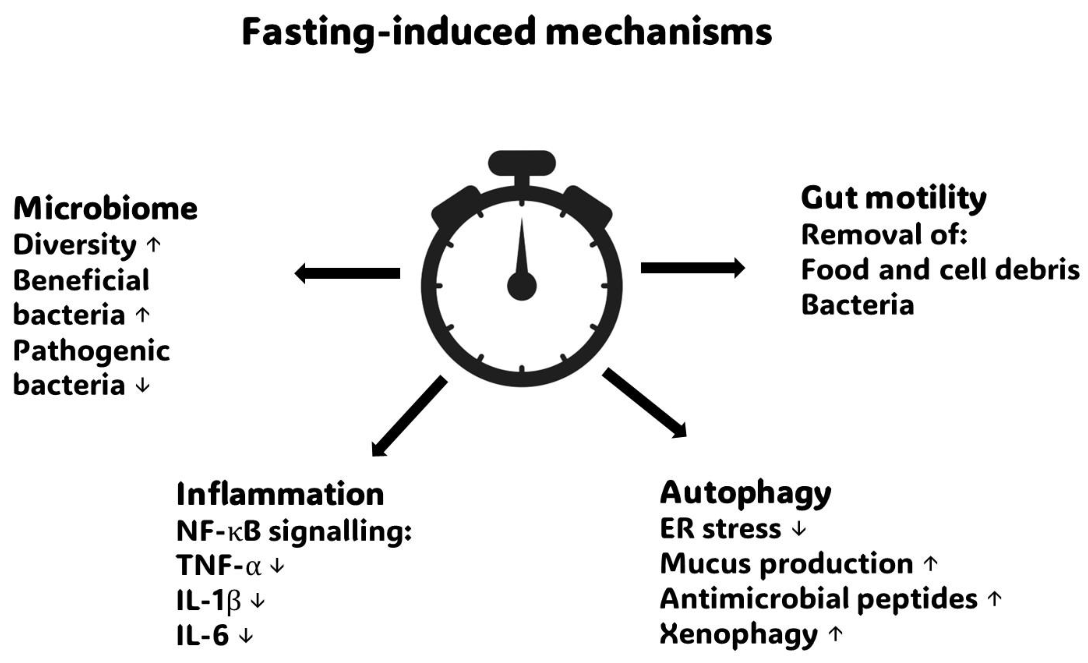 Preprints 176293 g001