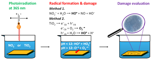 Preprints 175021 i001