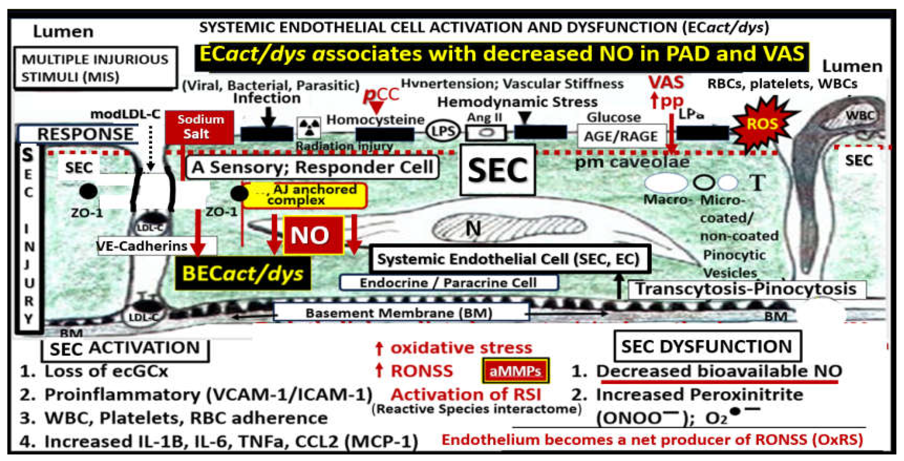 Preprints 156288 g001