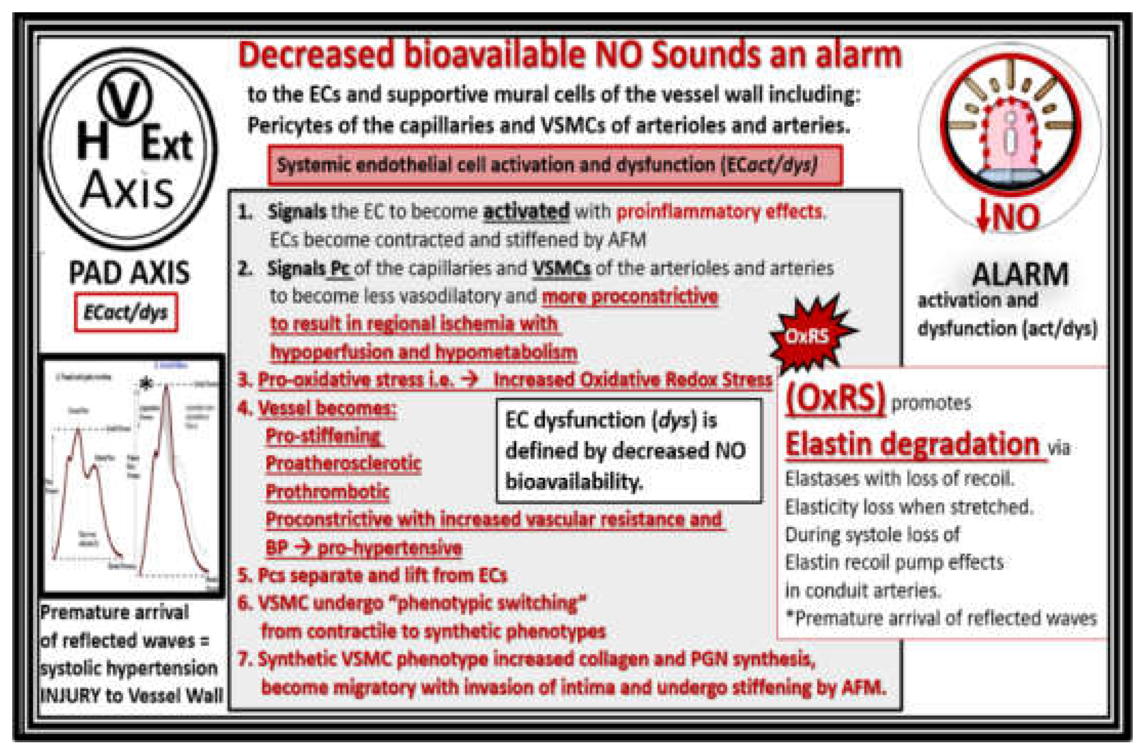 Preprints 156288 g003