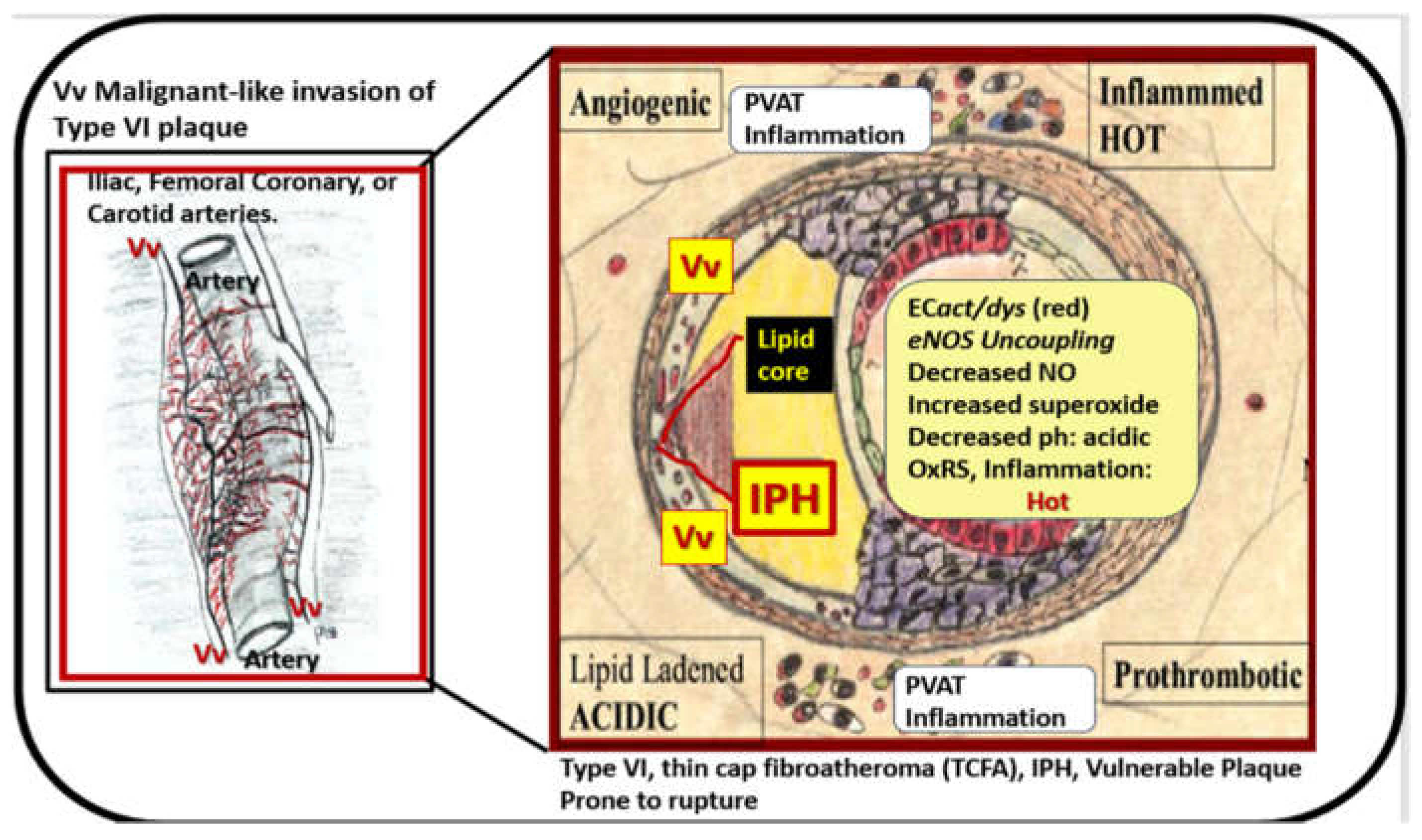 Preprints 156288 g006