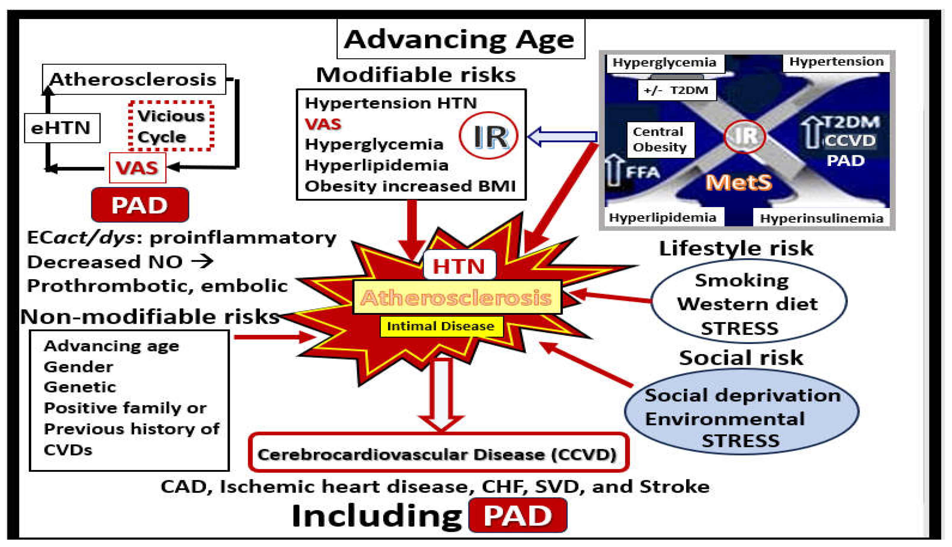 Preprints 156288 g009