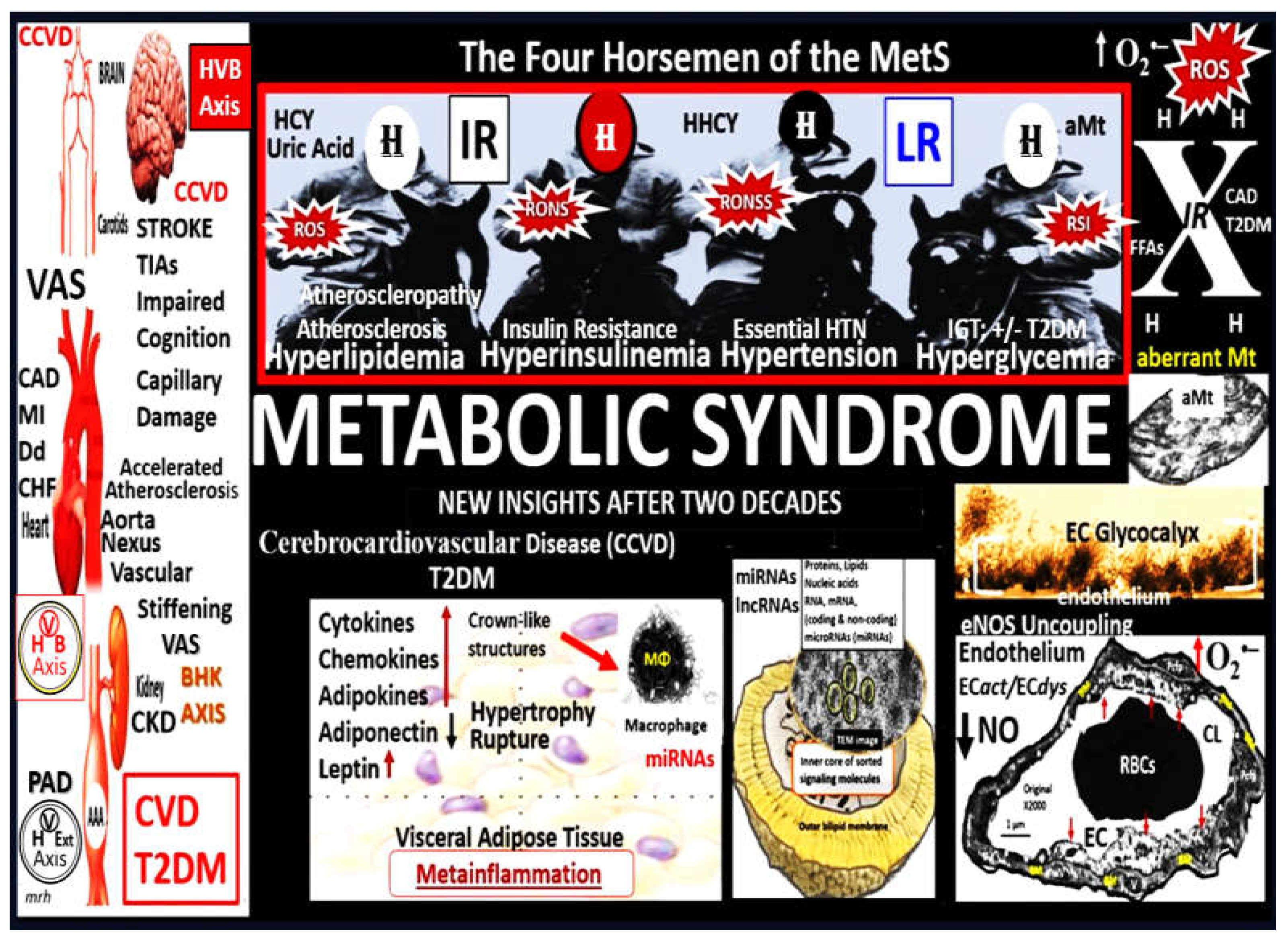 Preprints 156288 g010