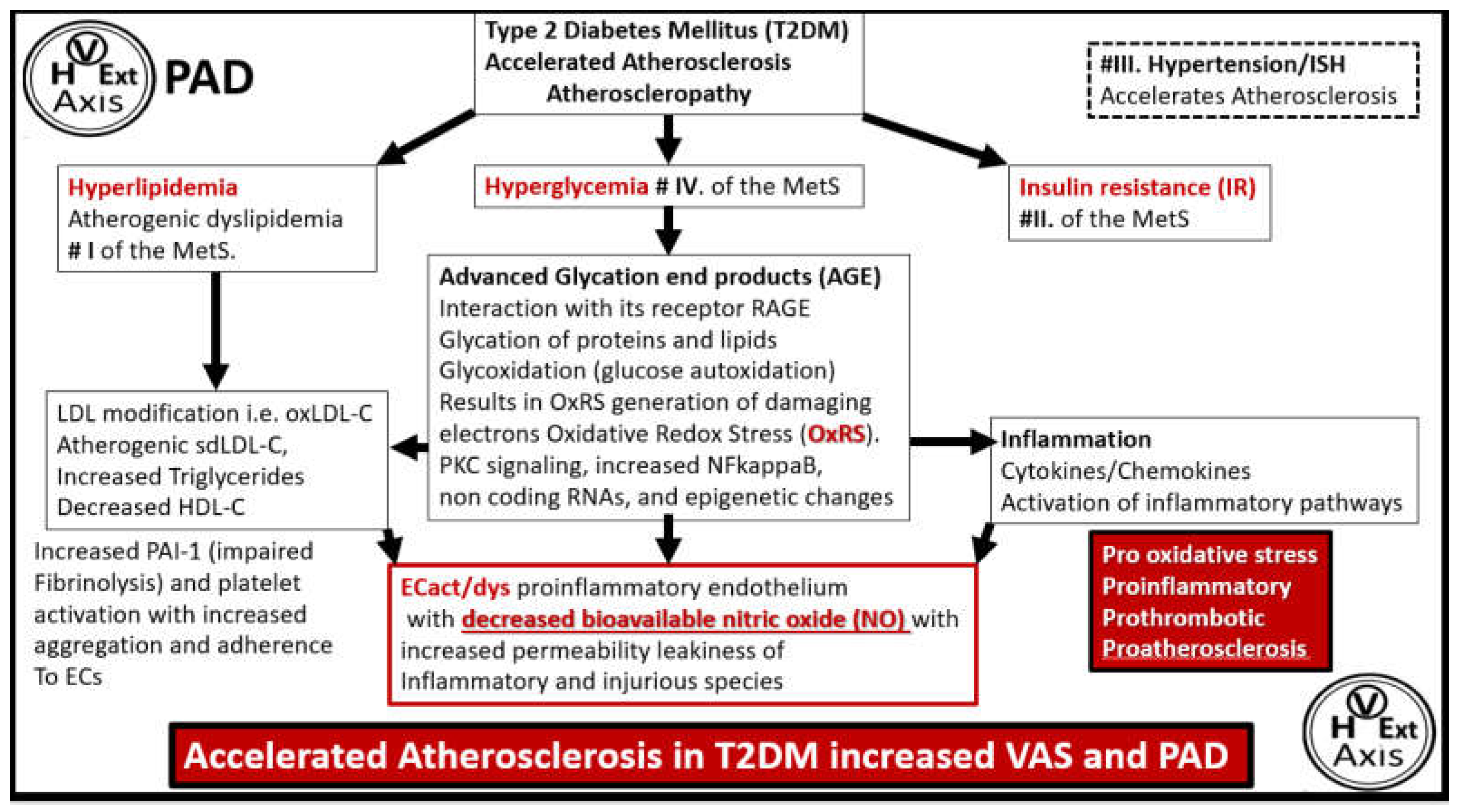 Preprints 156288 g011