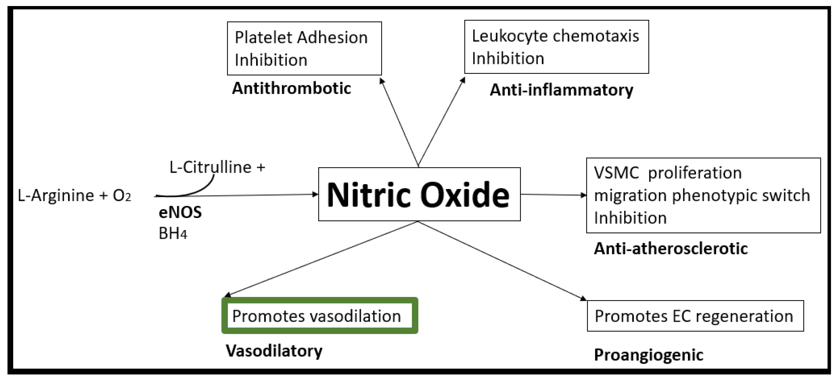 Preprints 156288 g012
