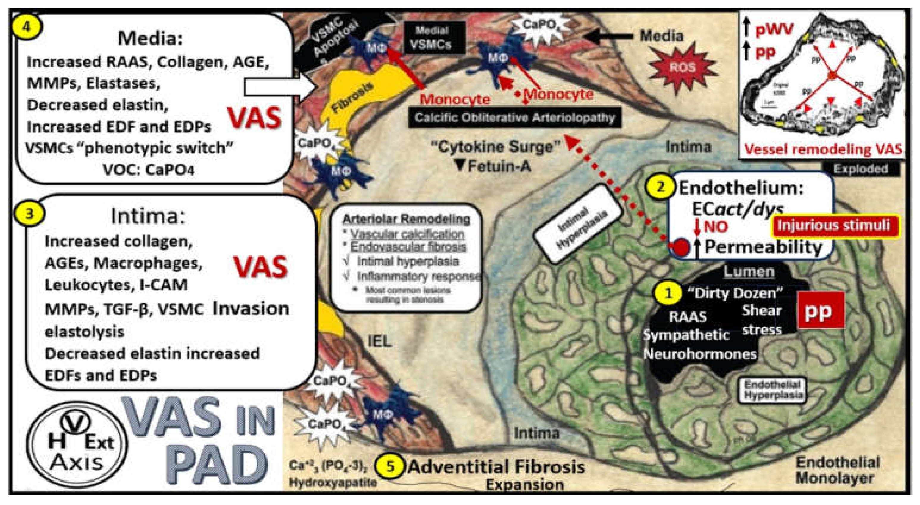 Preprints 156288 g013