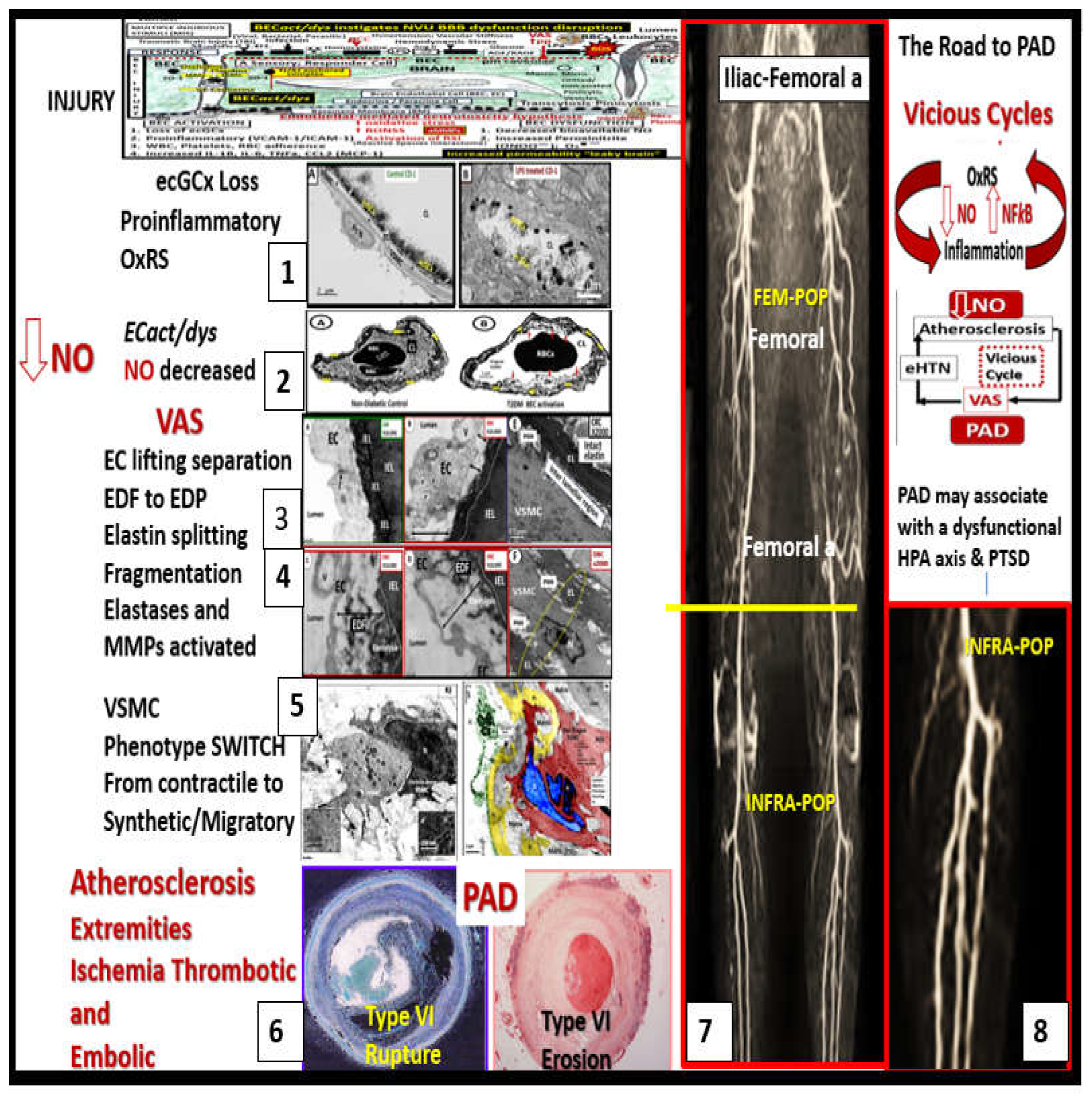 Preprints 156288 g015